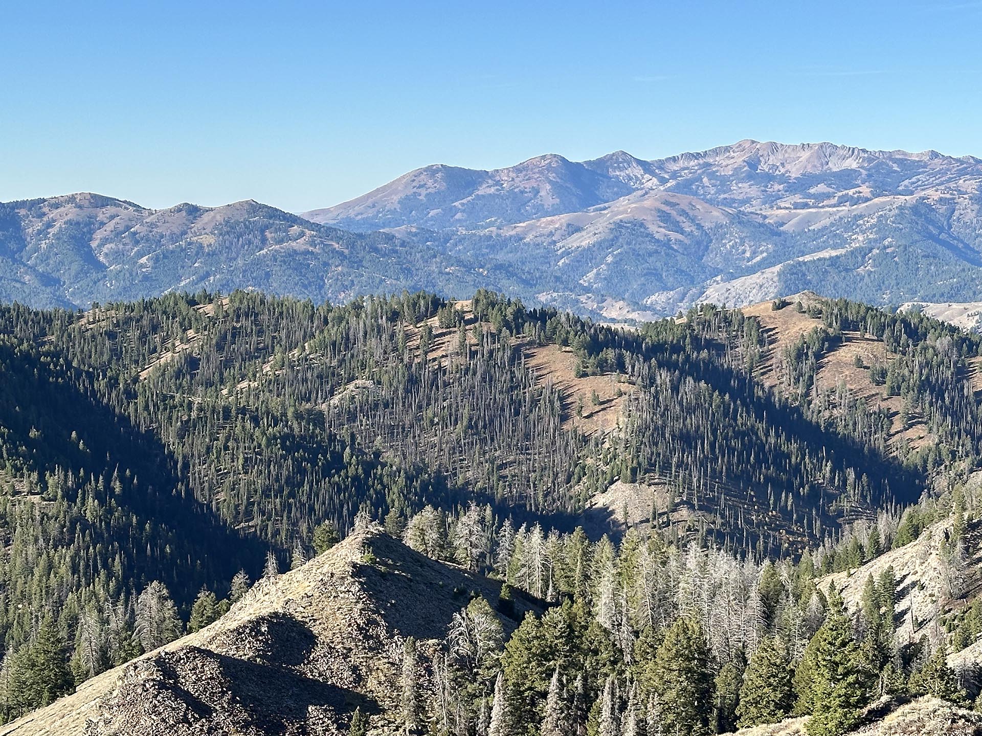 Silver Star drainage idaho silver star mine and hunting property
