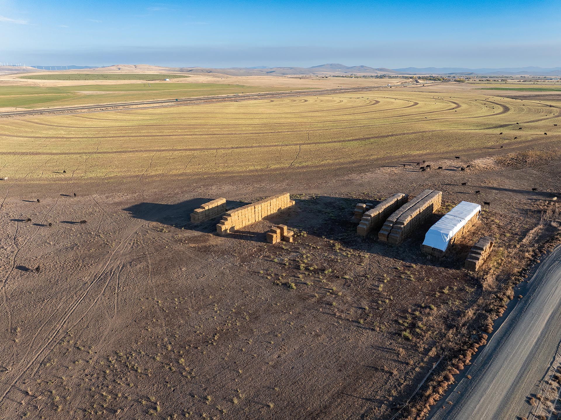 aerial farm view hay bales and cattle land oregon north powder farm