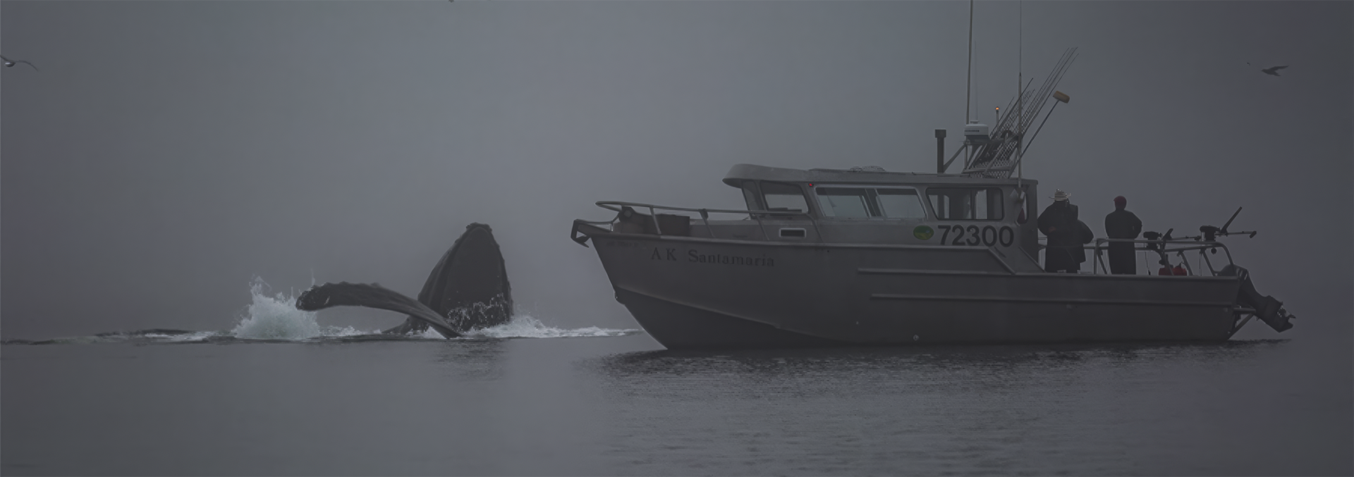 alaska fishing operation for sale inside passage wilderness enclave