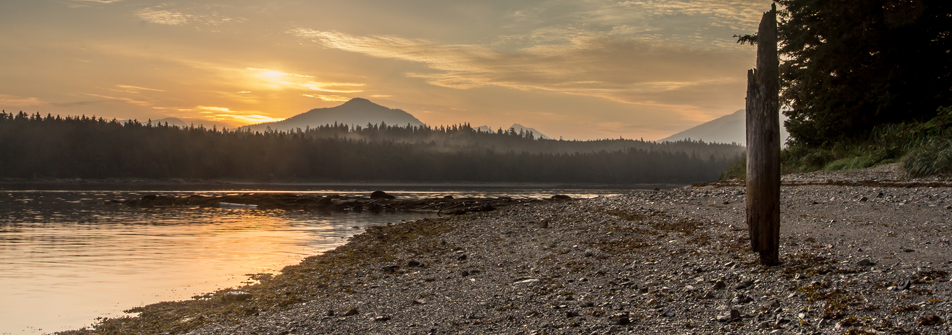 alaska whale watching property for sale inside passage wilderness enclave