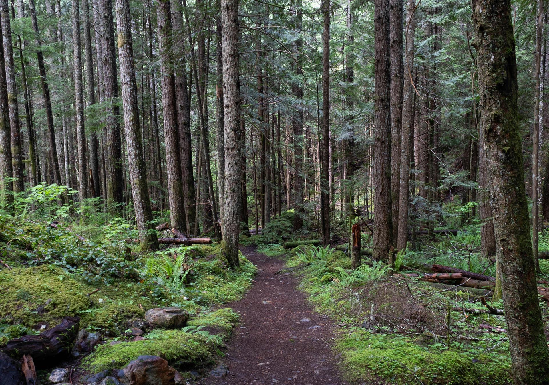 alpine lake and evergreen forest washington granite creek trail