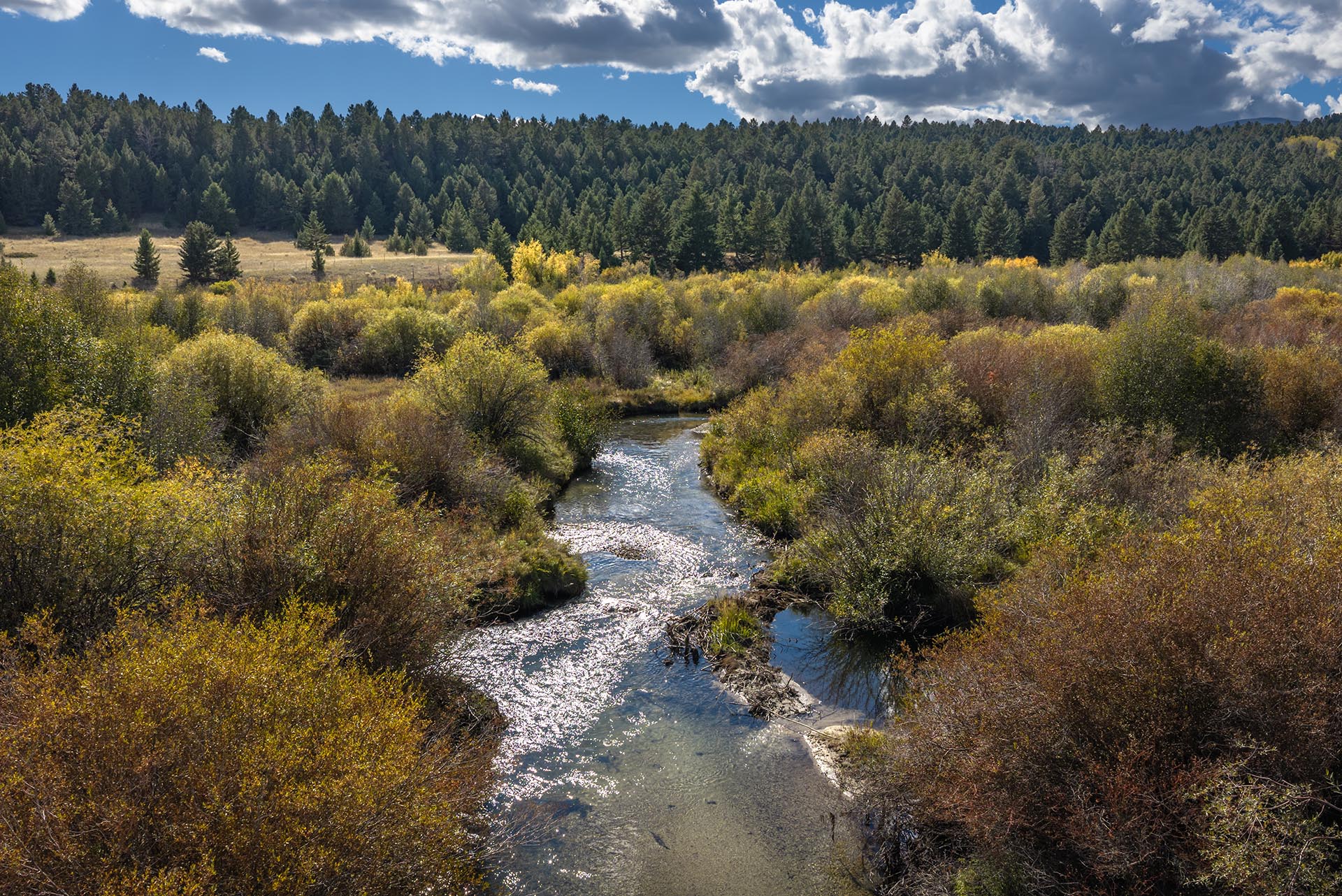 autumn foliage river forest montana dempsey lakes cattle ranch