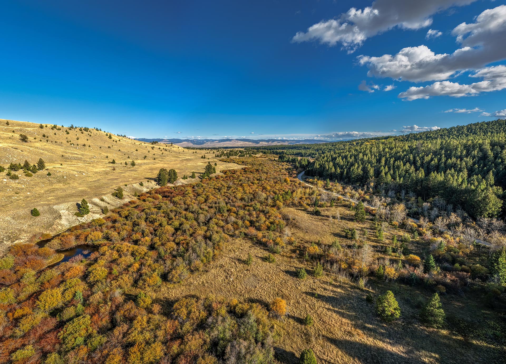 autumn riparian land montana dempsey lakes cattle ranch