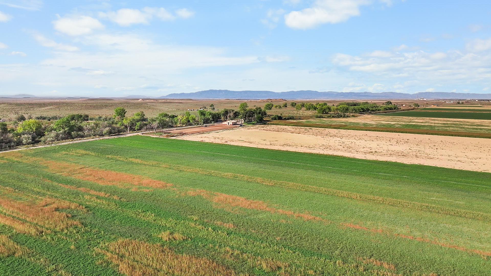avondale co agricultural real estate colorado olson road farm