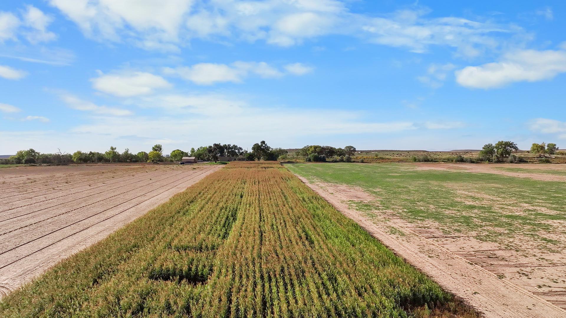 avondale co pasture land colorado olson road farm