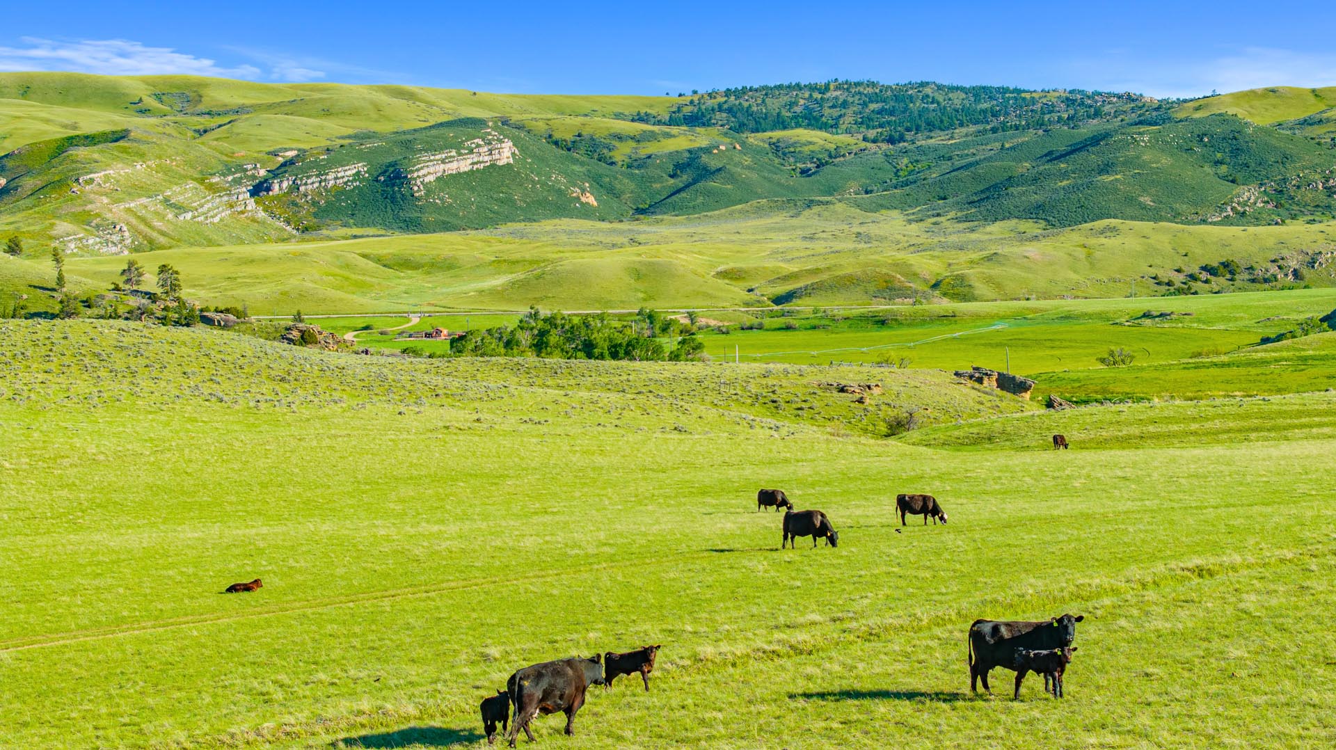 cattle ranches for sale wyoming creek bend ranch