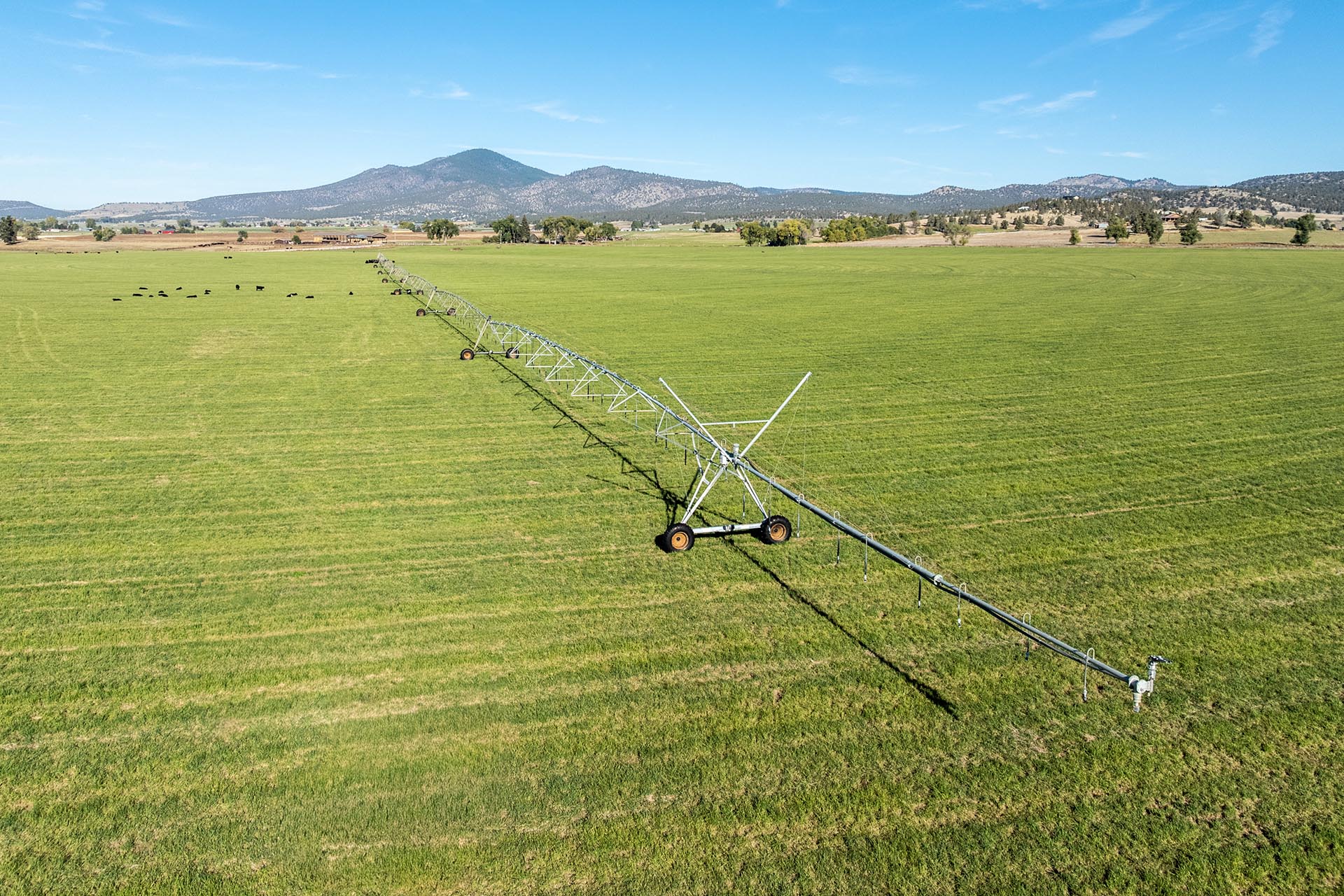 central oregon irrigated acreage with homes for sale north ochoco valley hay and cattle ranch