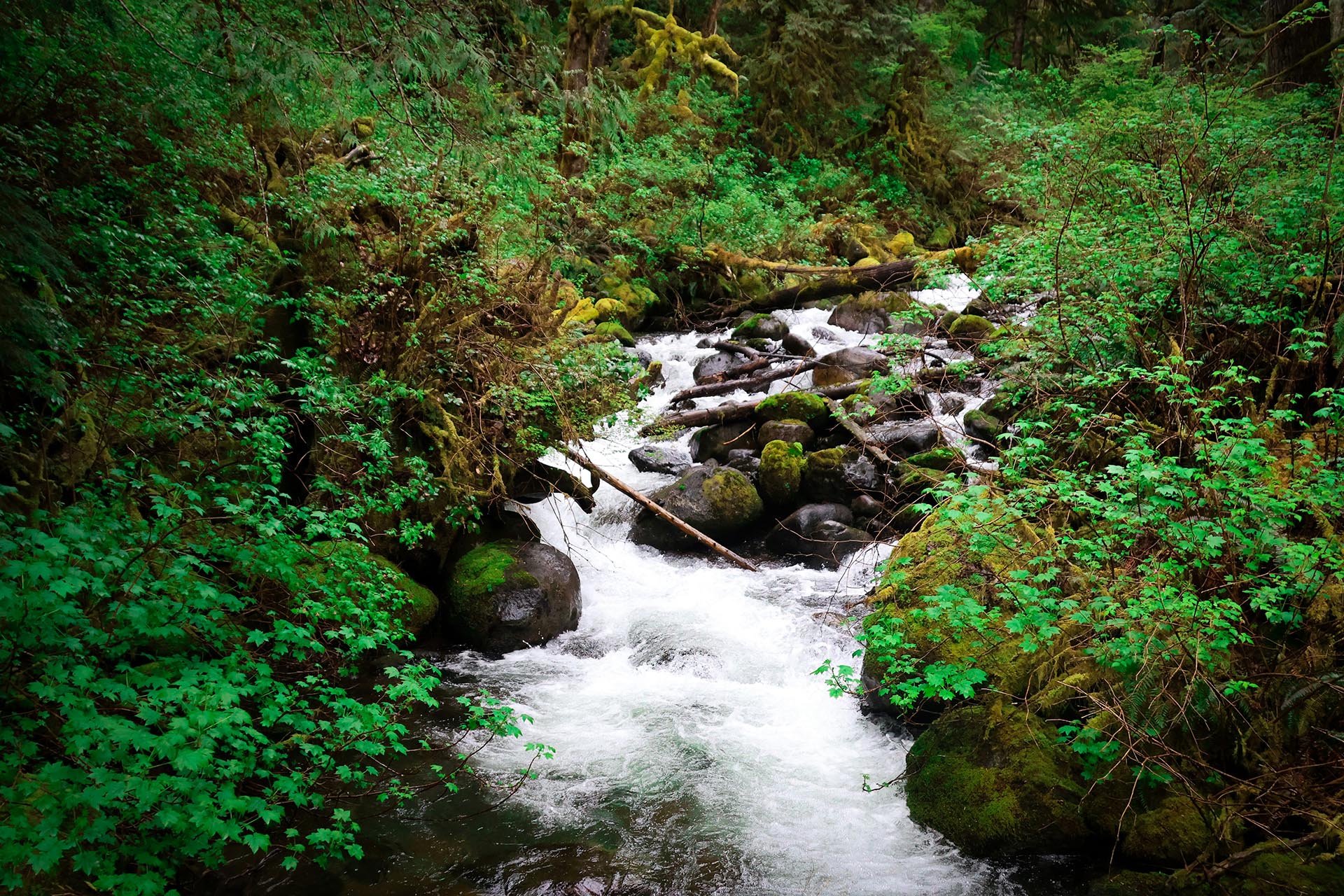 clear mountain lake water washington granite creek trail