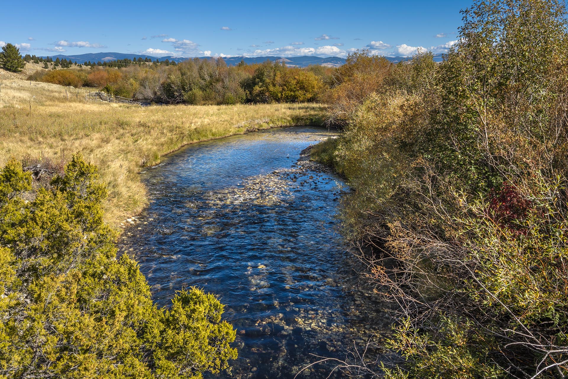 clear river autumn trees montana dempsey lakes cattle ranch