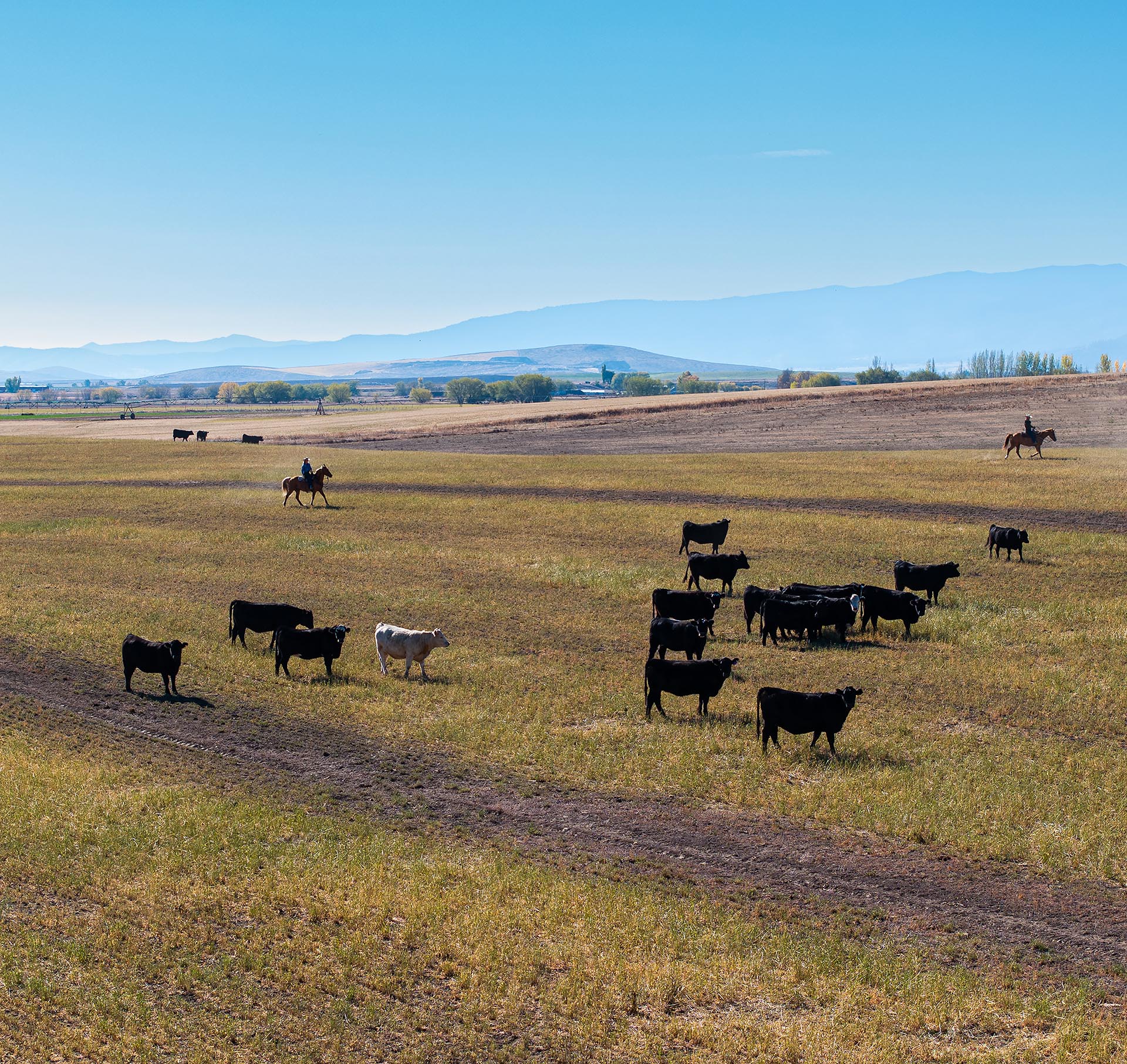 cowboy and cattle ranch for sale oregon north powder farm