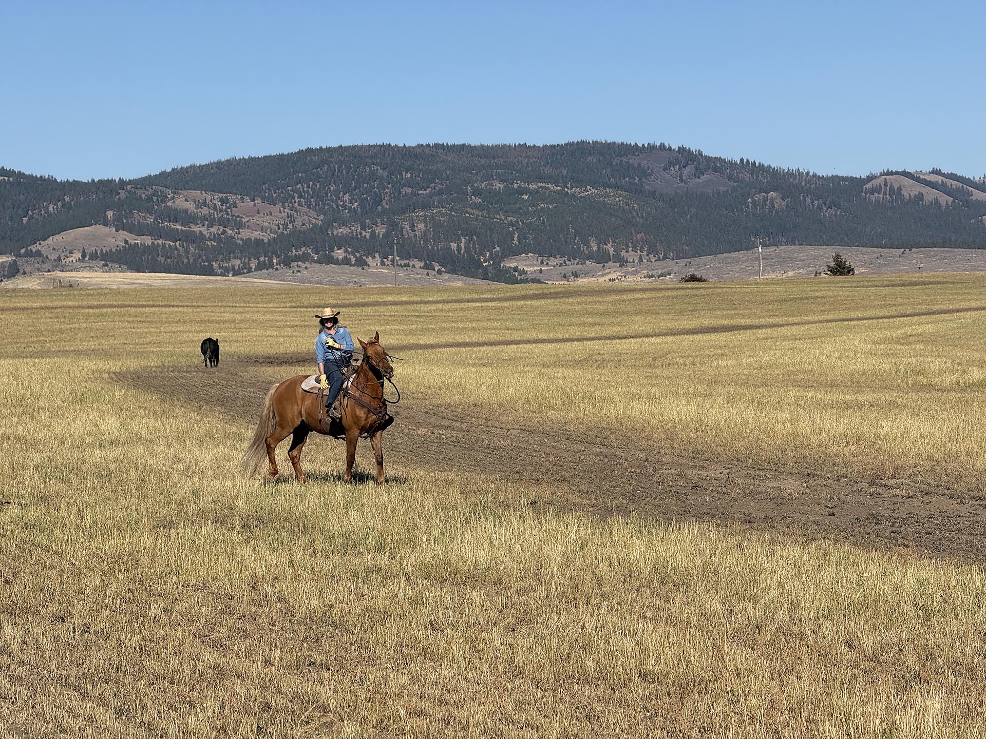 cowgirl on horseback ranch property for sale oregon north powder farm