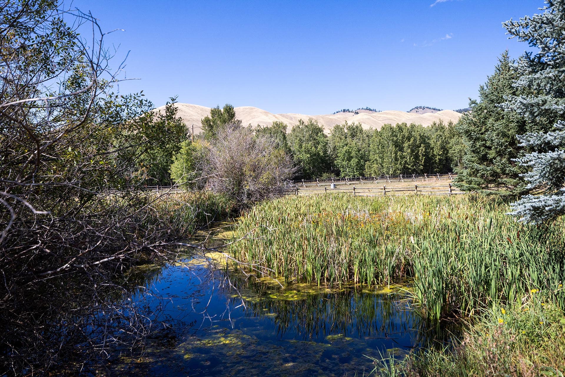 ditch rights idaho north fork meadows