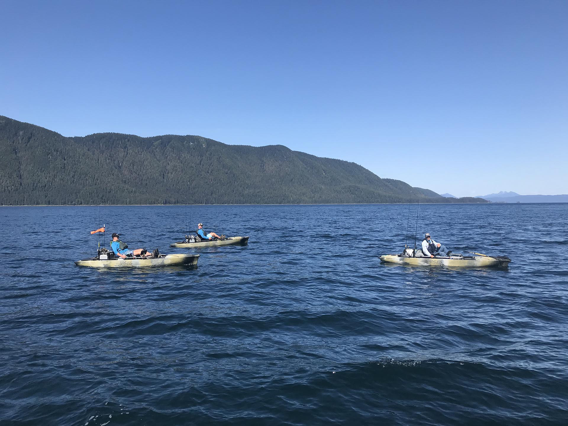 eco kayaking alaska inside passage wilderness enclave