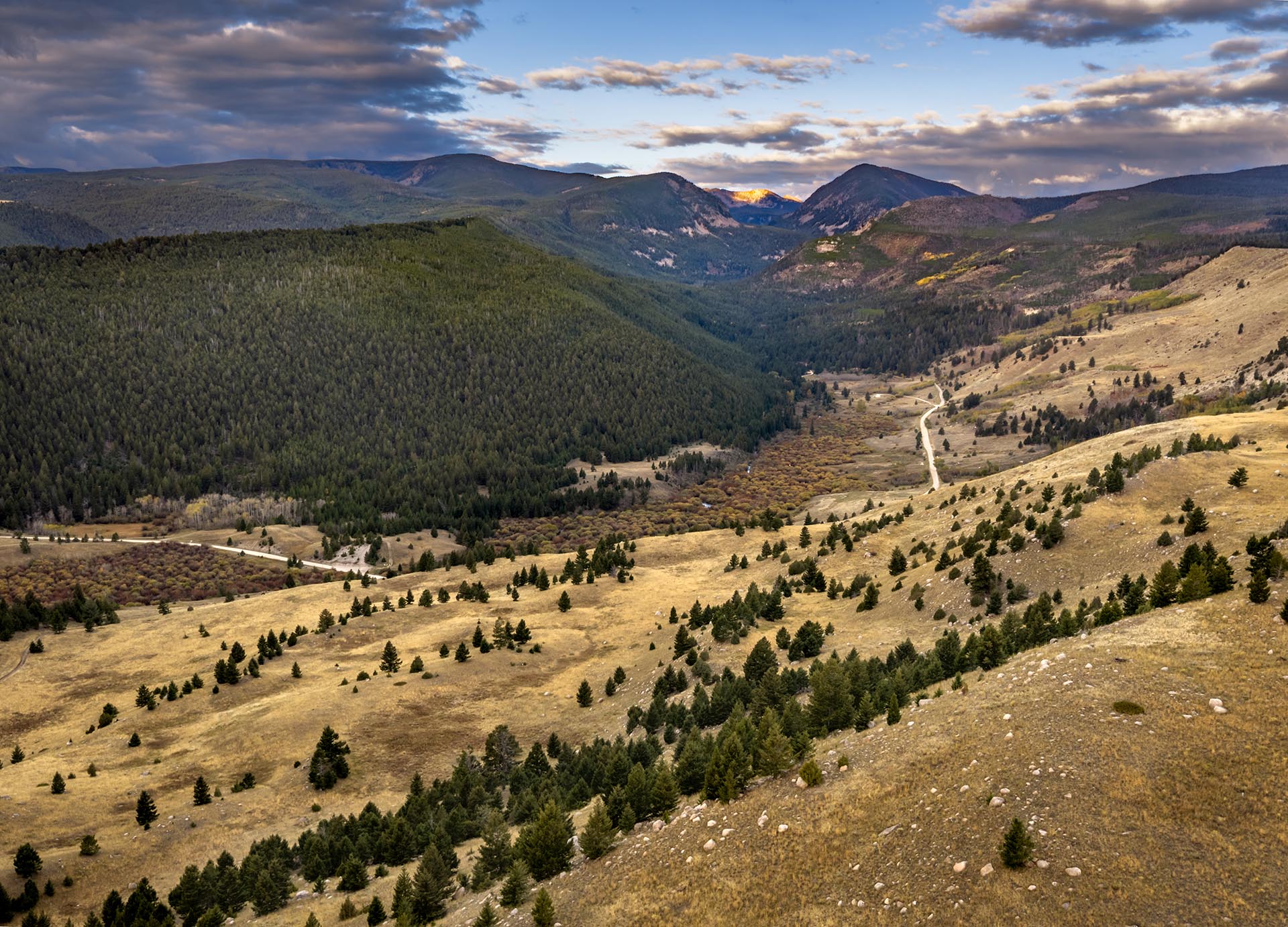 expansive plains and timbered acreage for sale montana dempsey lakes cattle ranch