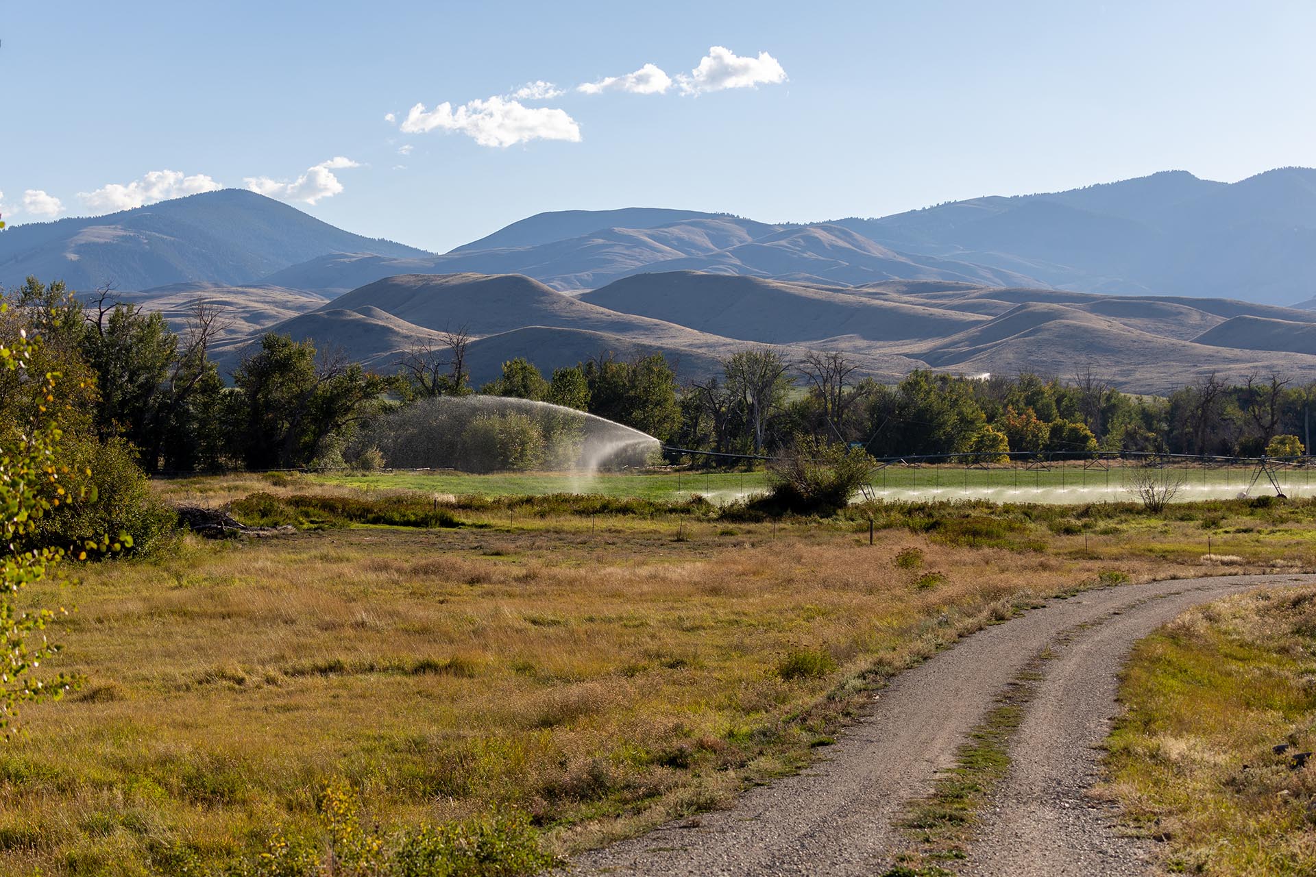 farm views idaho jackson corner ranch