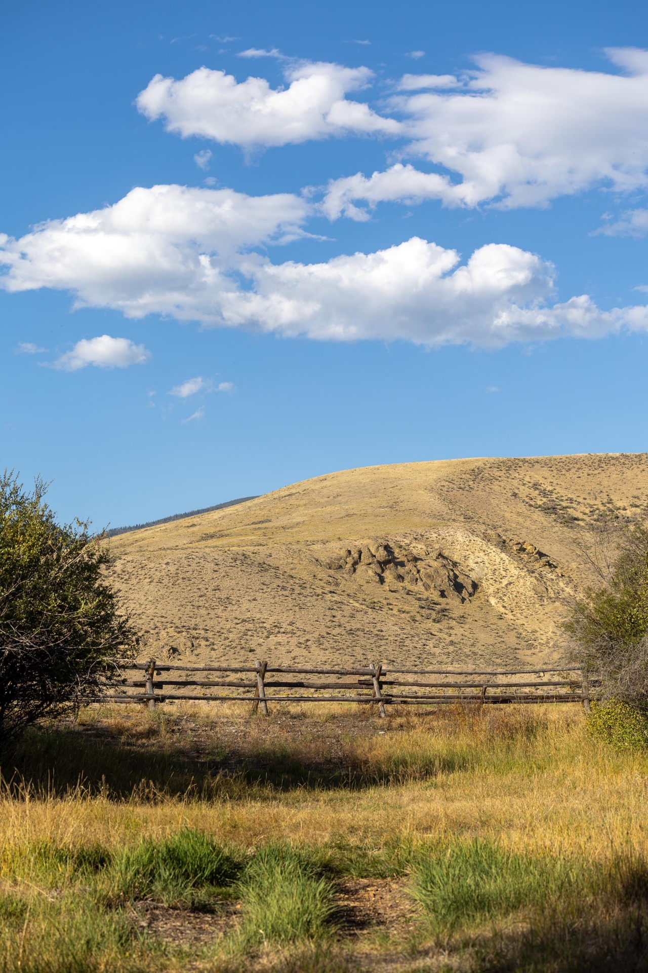 fenced pasture idaho jackson corner ranch