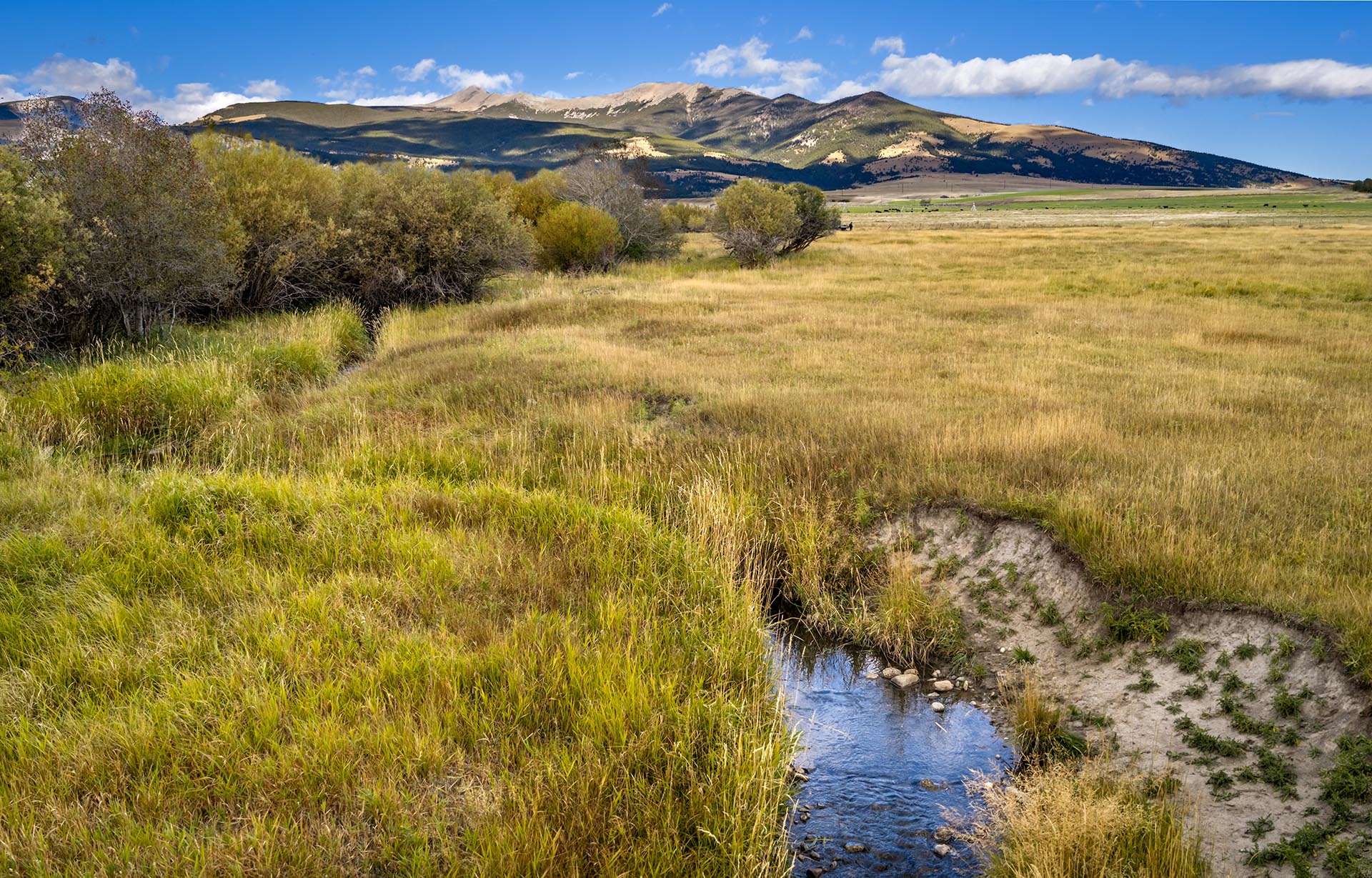 fly fishing property for sale montana dempsey lakes cattle ranch