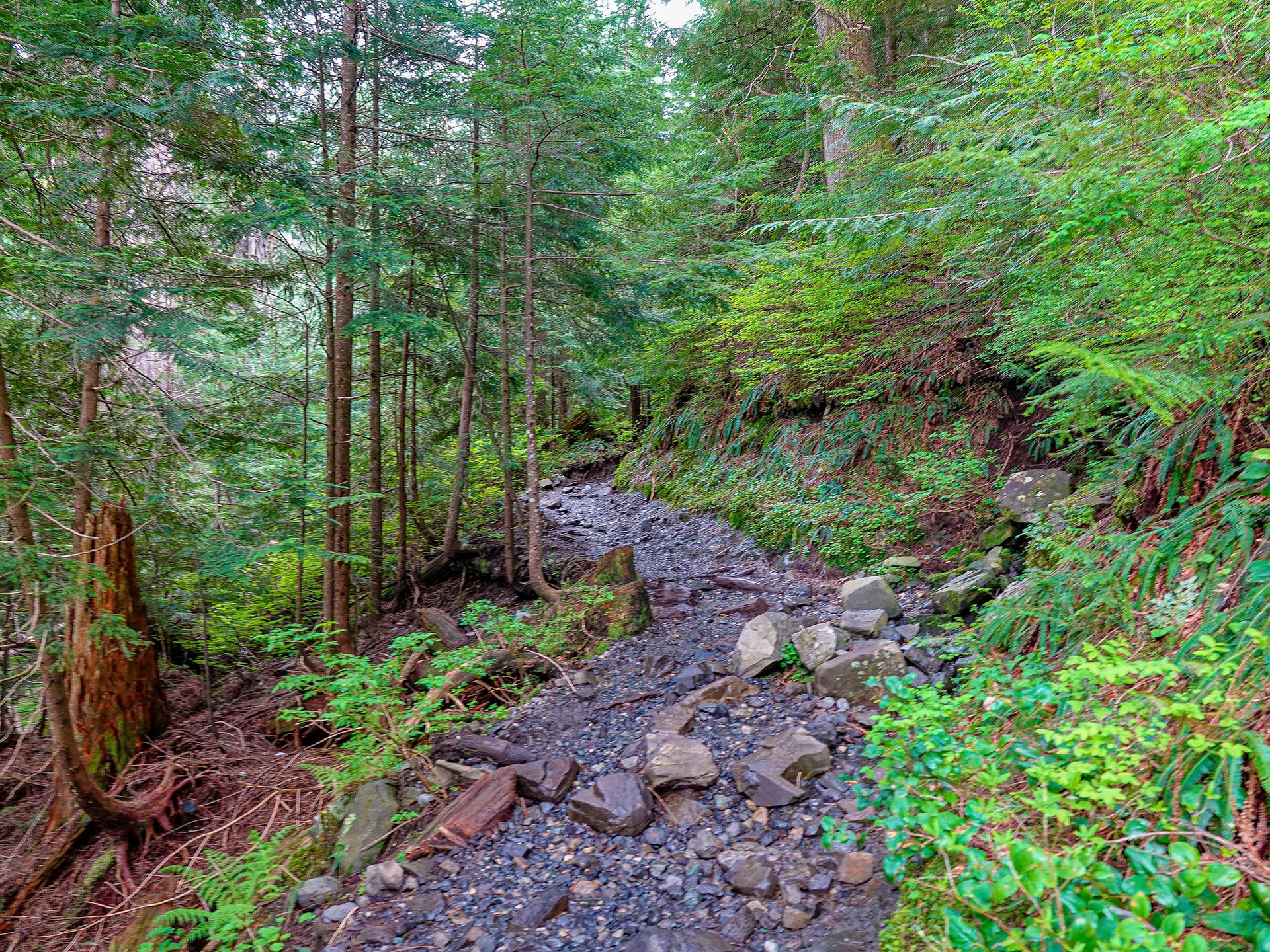 forested cascade mountain slopes washington granite creek trail