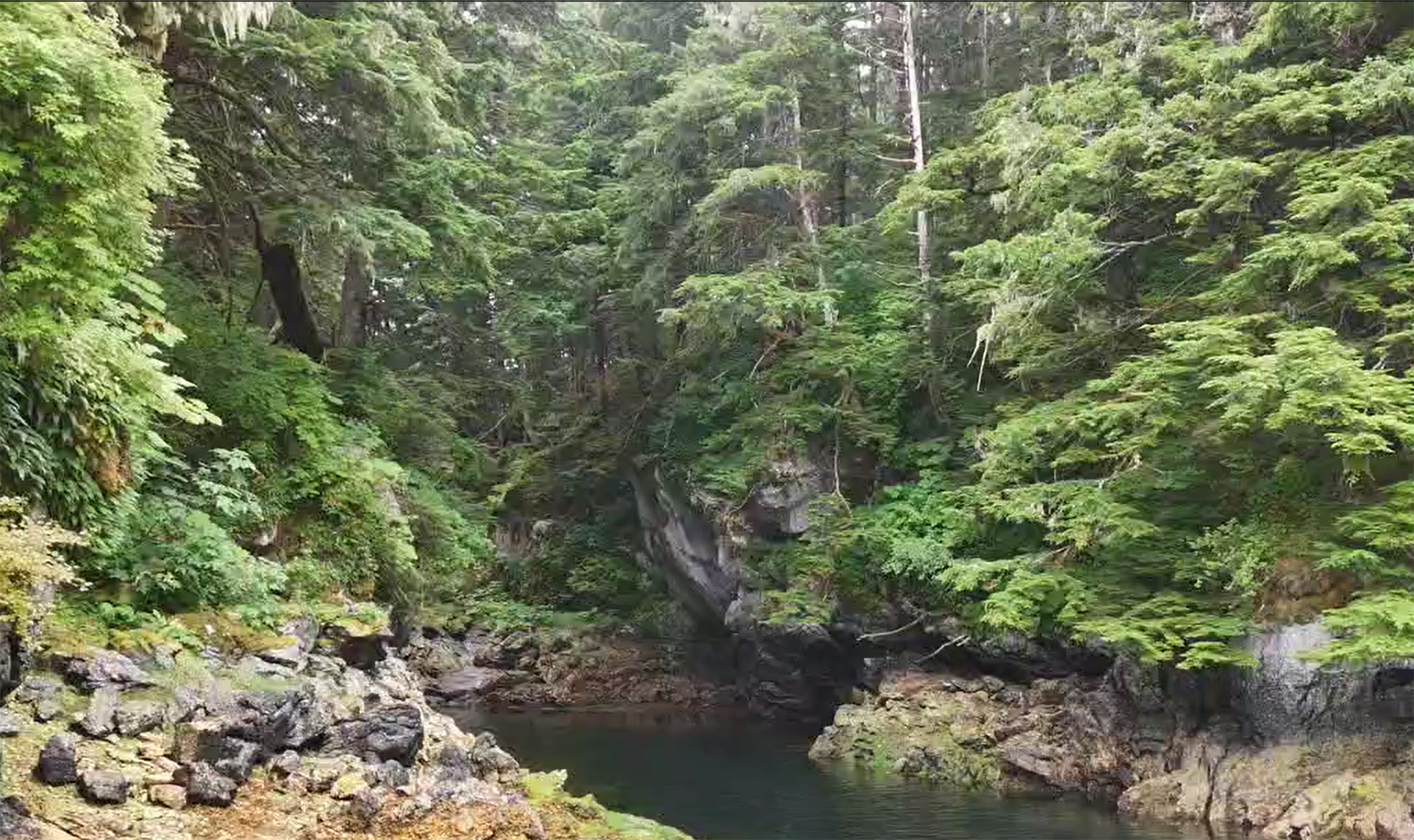 freshwater alaska inside passage wilderness enclave