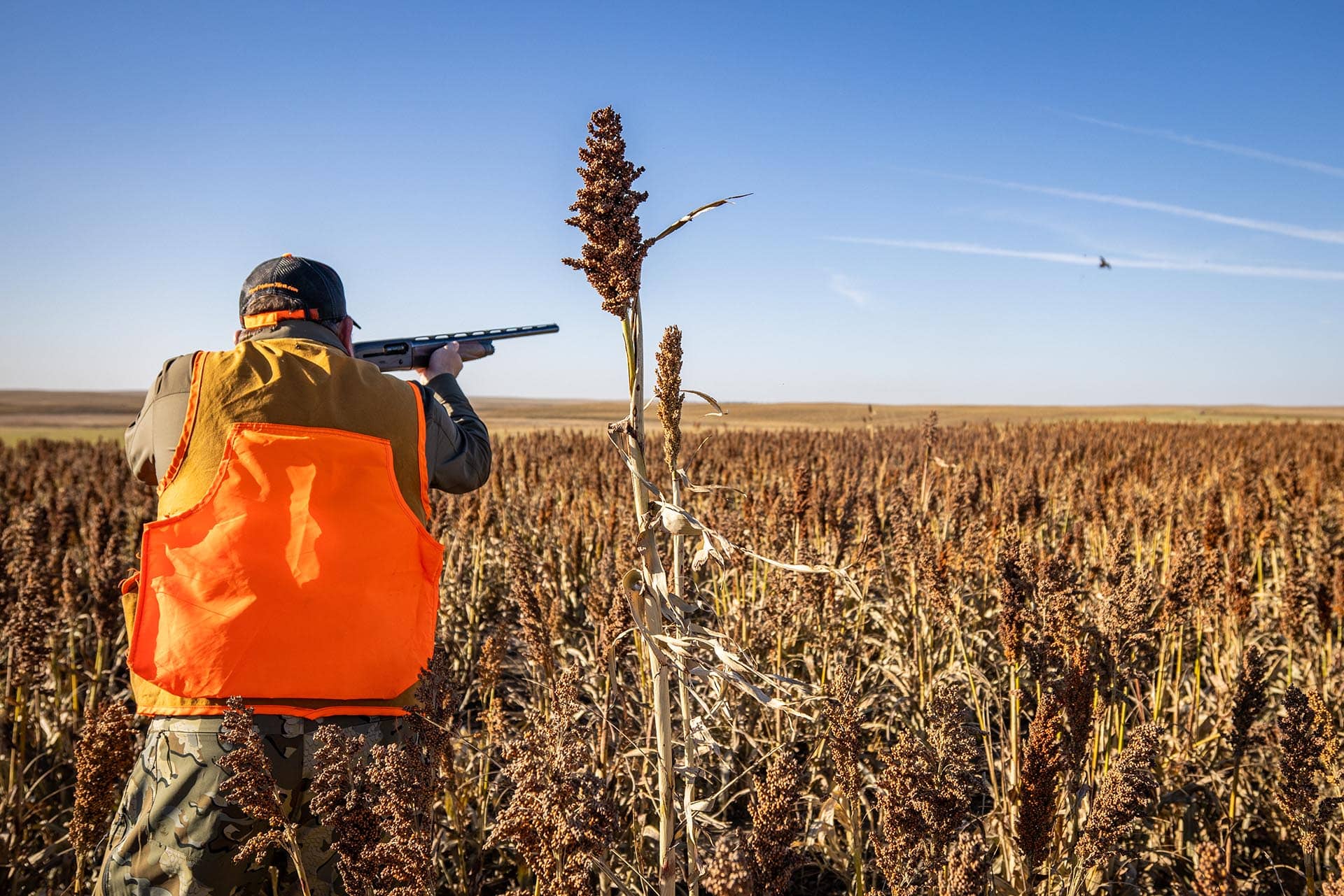 game bird hunting land for sale south dakota paul nelson farm