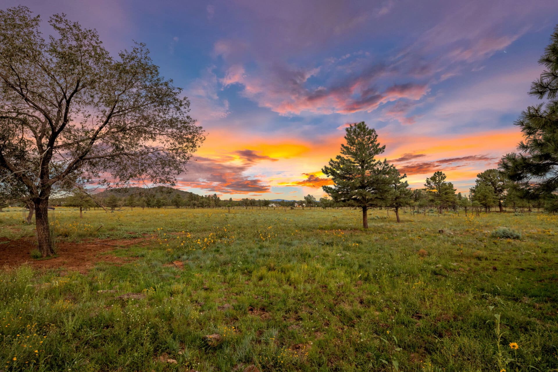 grand ranches for sale arizona four of a kind ranch