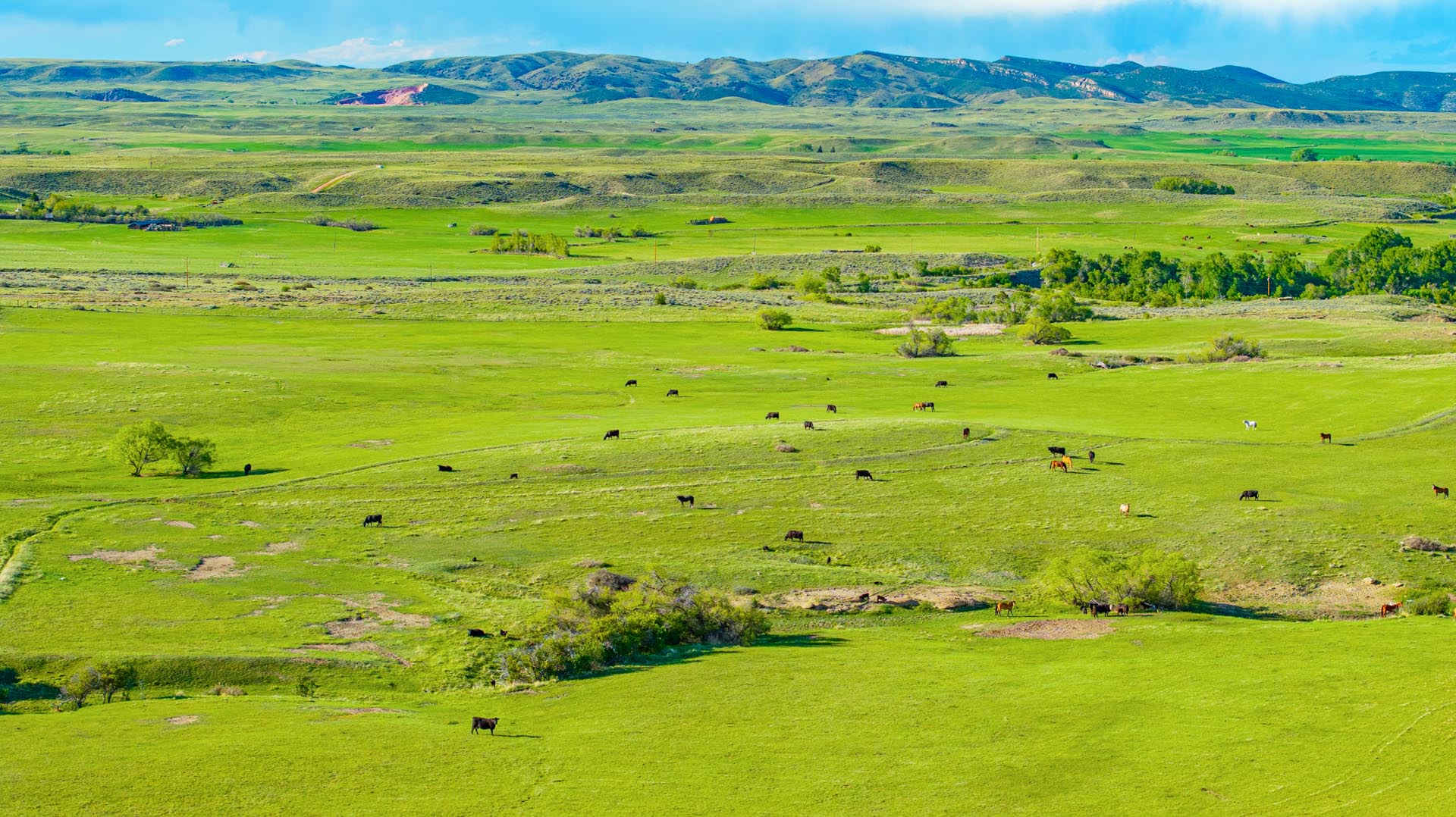 grazing property for sale wyoming creek bend ranch