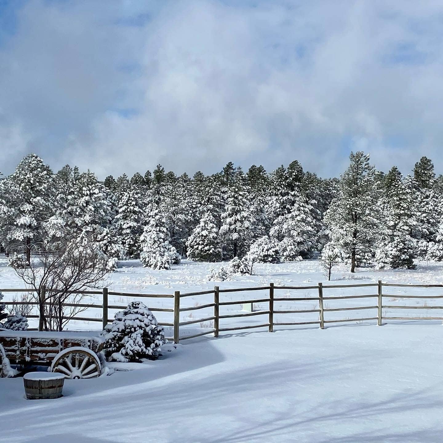 high country ranch for sale arizona four of a kind ranch