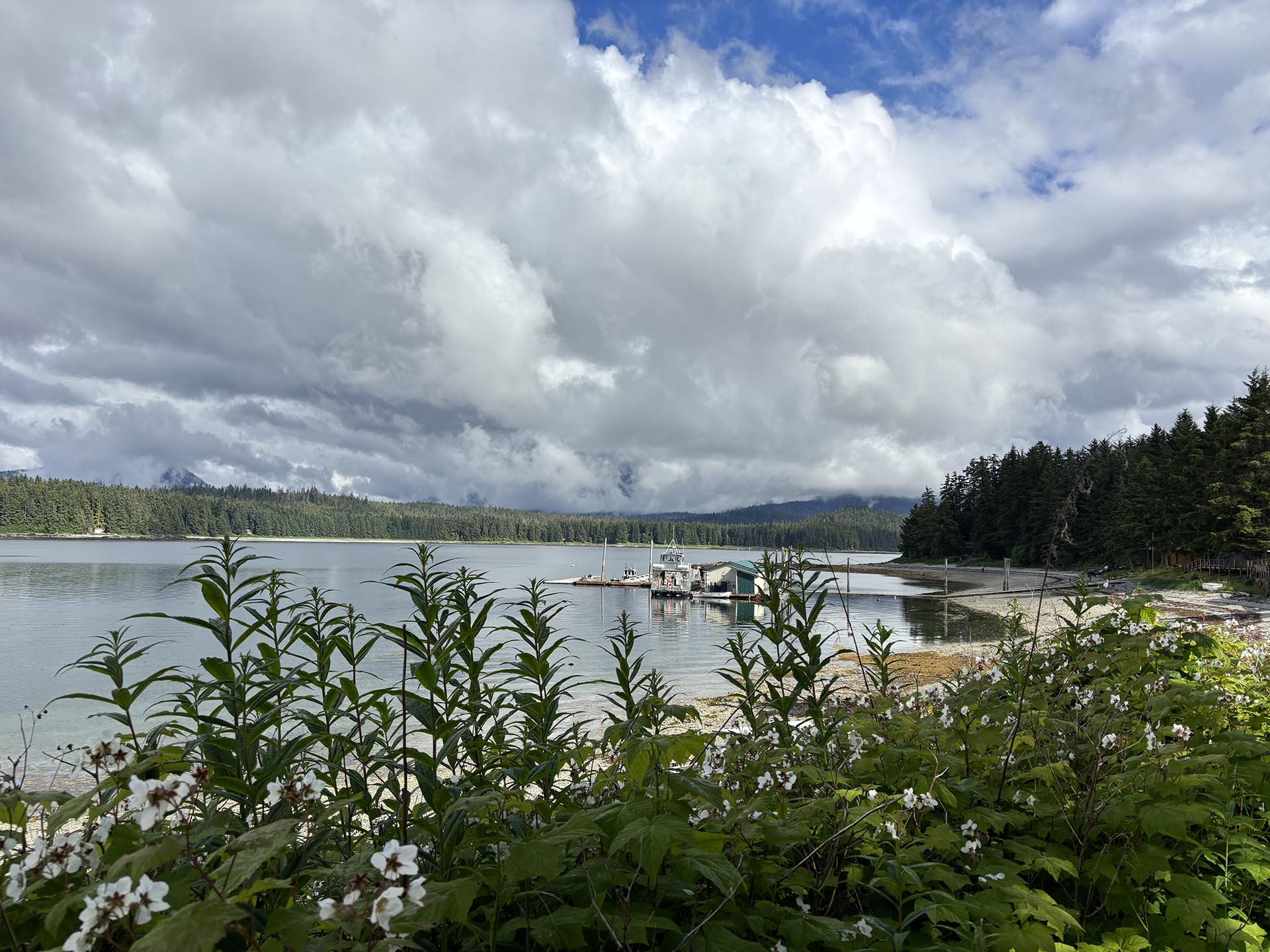 higher view alaska inside passage wilderness enclave