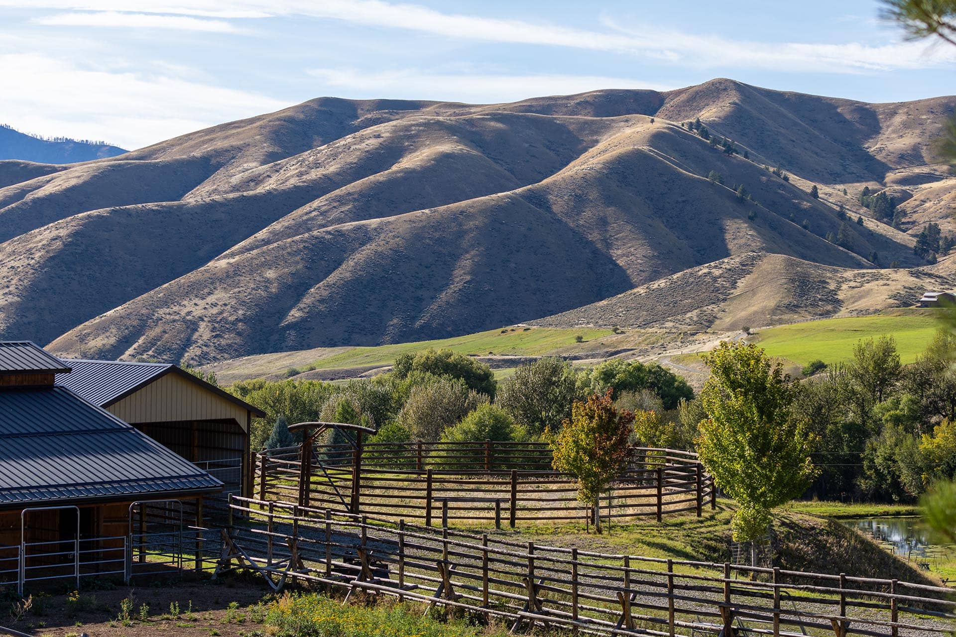 hillside horse training idaho north fork meadows