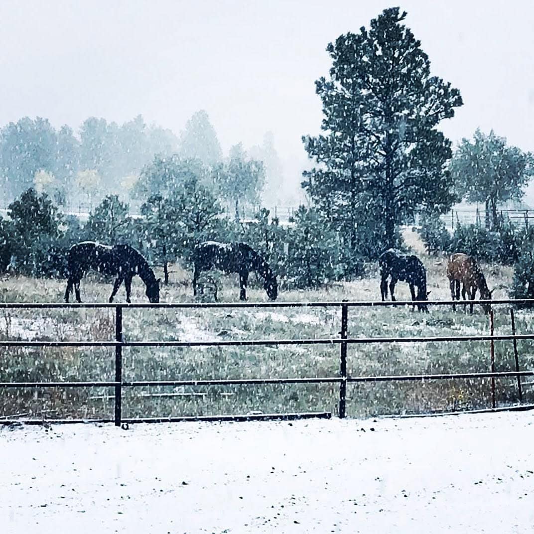 horse properties for sale arizona four of a kind ranch