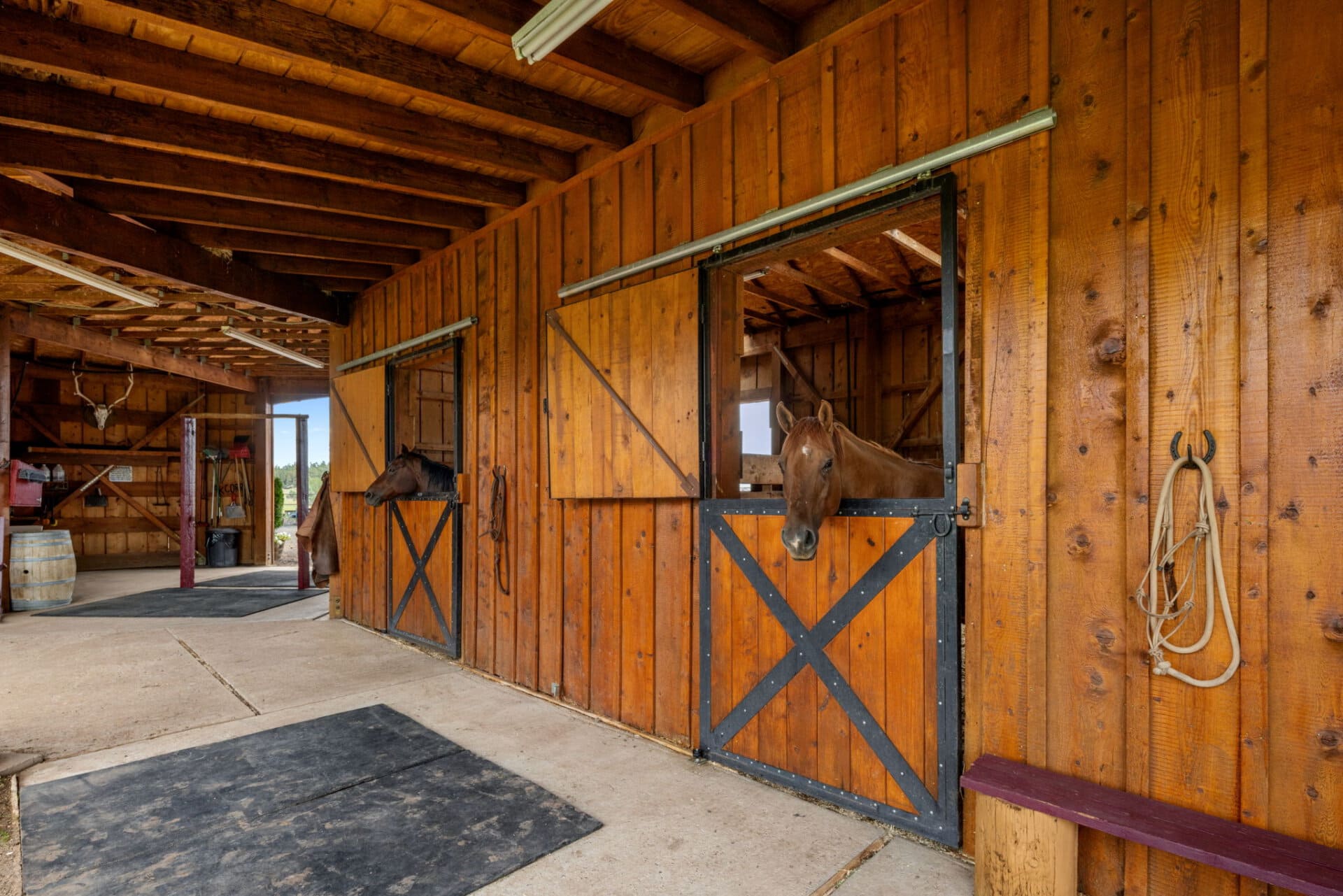 horse ranch land arizona four of a kind ranch