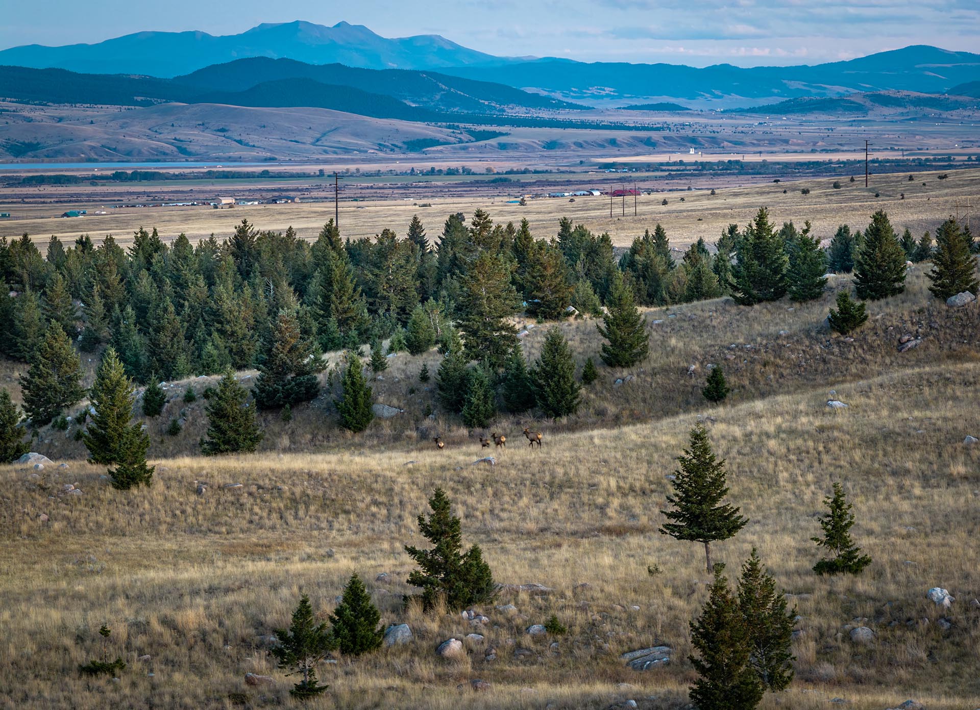 hunting land with wildlife montana dempsey lakes cattle ranch