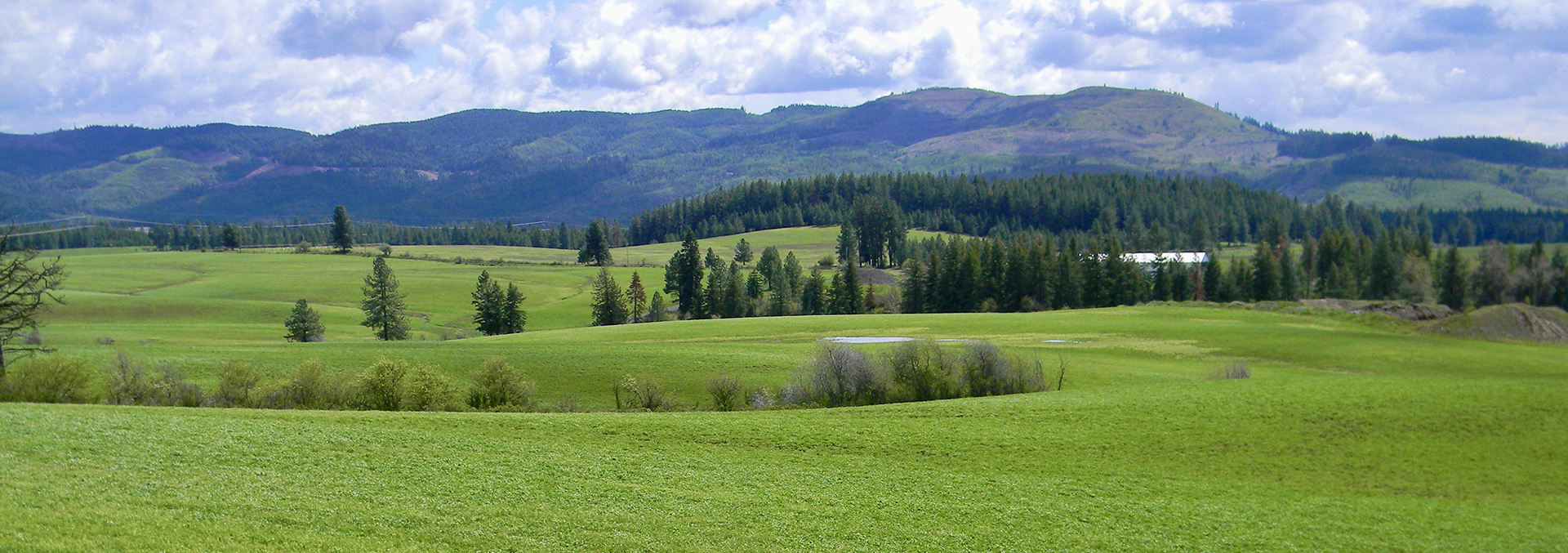idaho agriculture property for sale park ranch