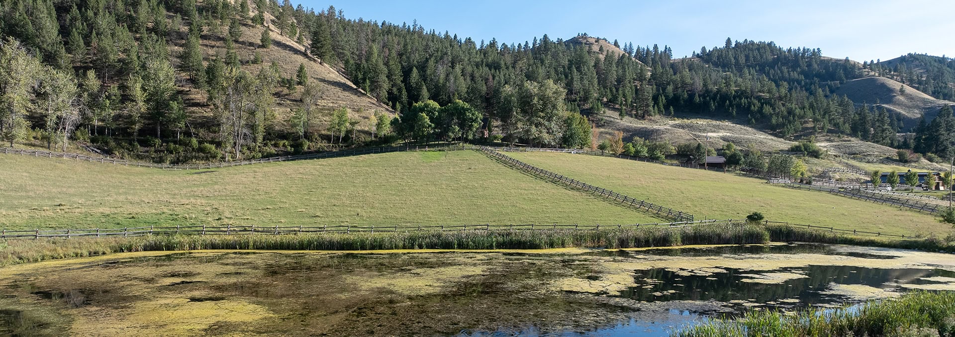 idaho cattle ranch for sale north fork meadows