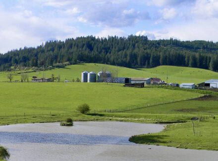 idaho cattle ranch for sale park ranch
