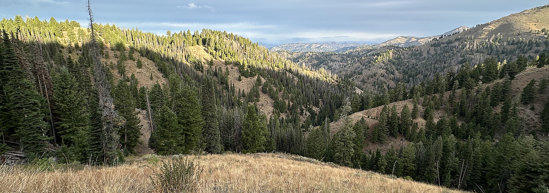 idaho hunting property for sale silver star mine and hunting property