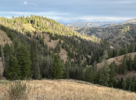 idaho hunting property for sale silver star mine and hunting property