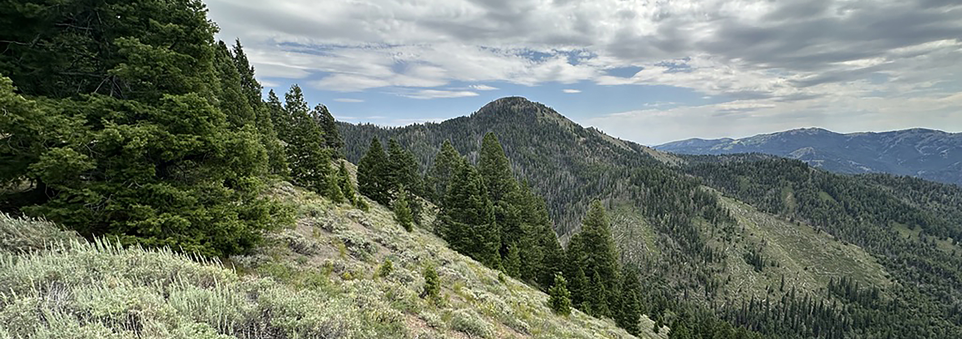 idaho land for sale silver star mine and hunting property