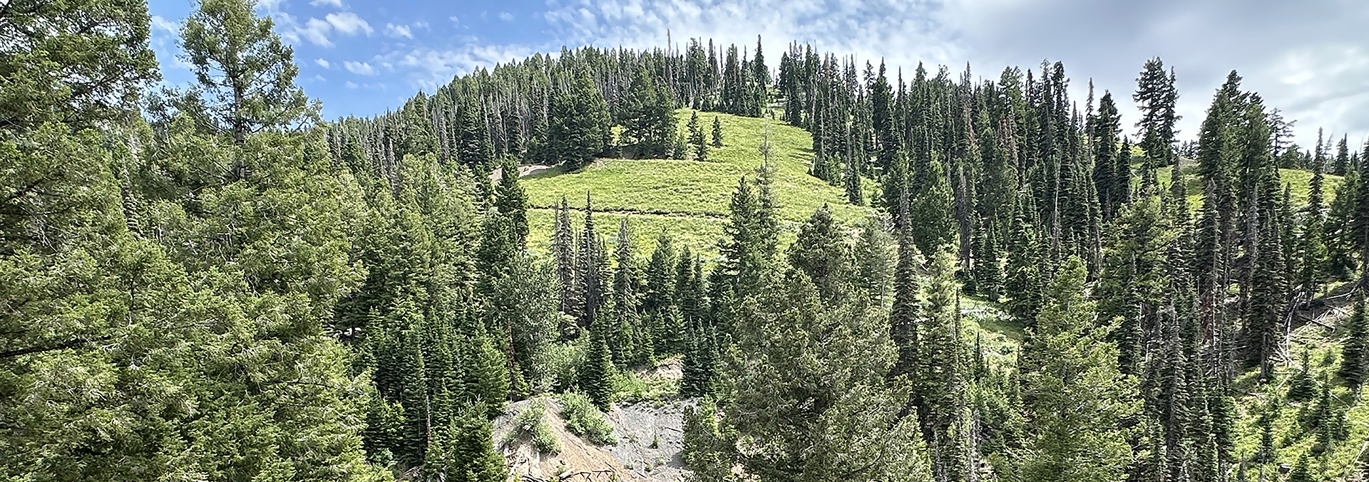 idaho mine for sale silver star mine and hunting property
