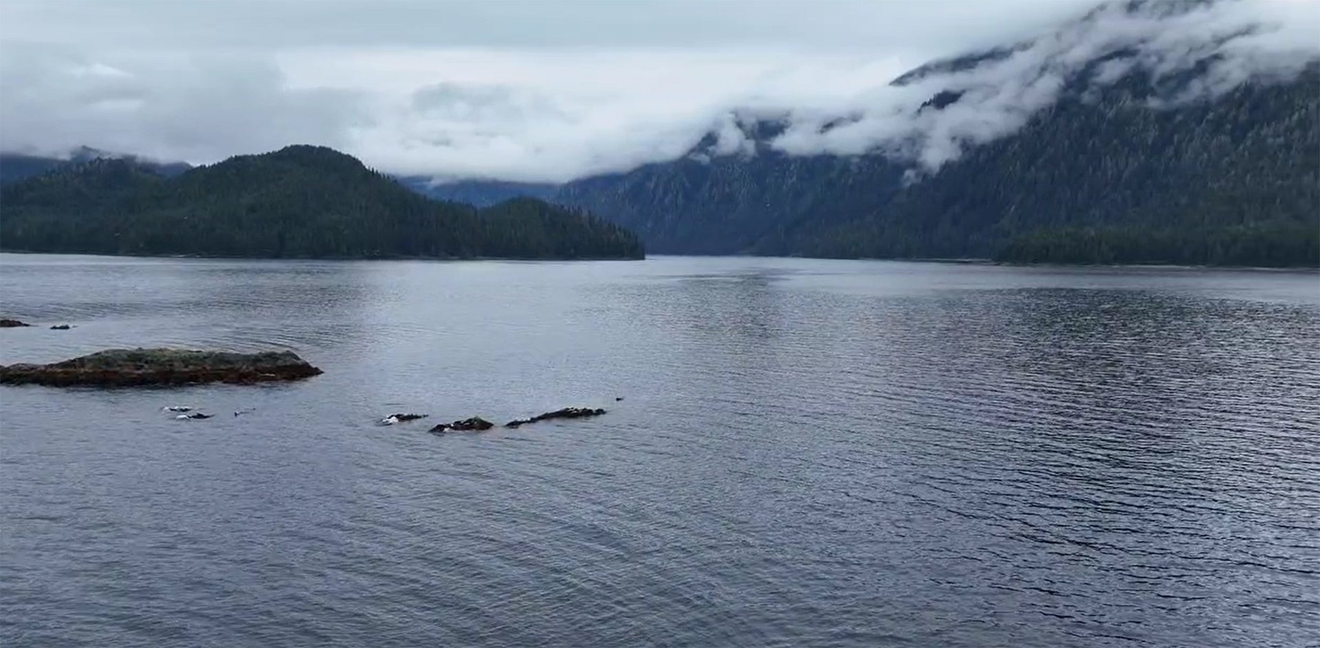 inlet alaska inside passage wilderness enclave