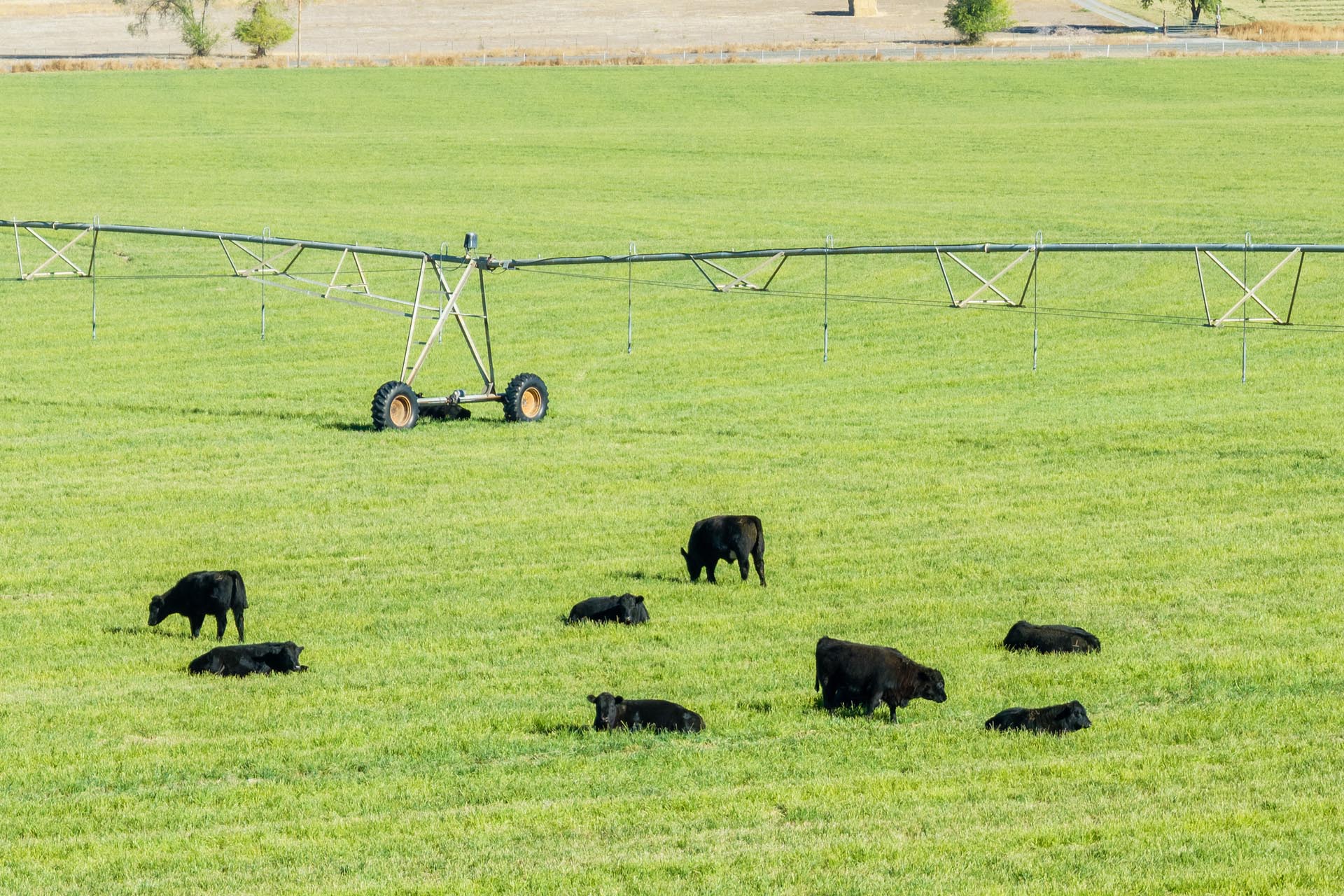 irrigated hay farm for sale oregon north ochoco valley hay and cattle ranch