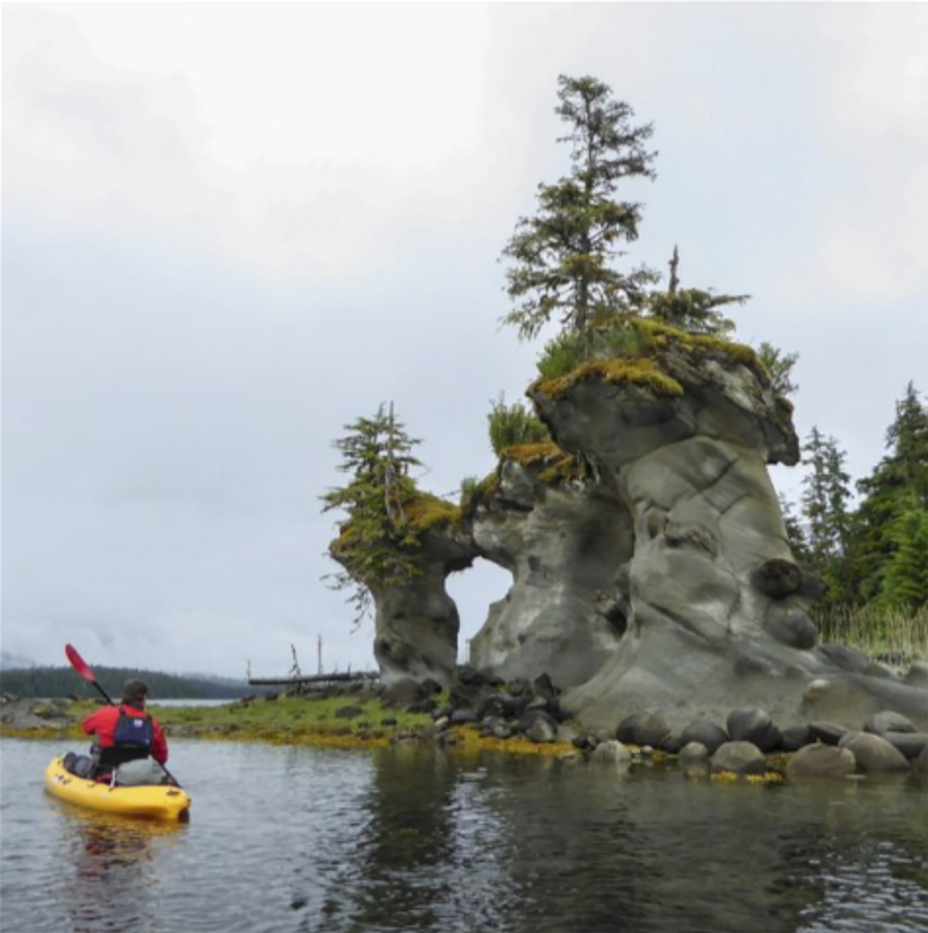 kayaking alaska inside passage wilderness enclave