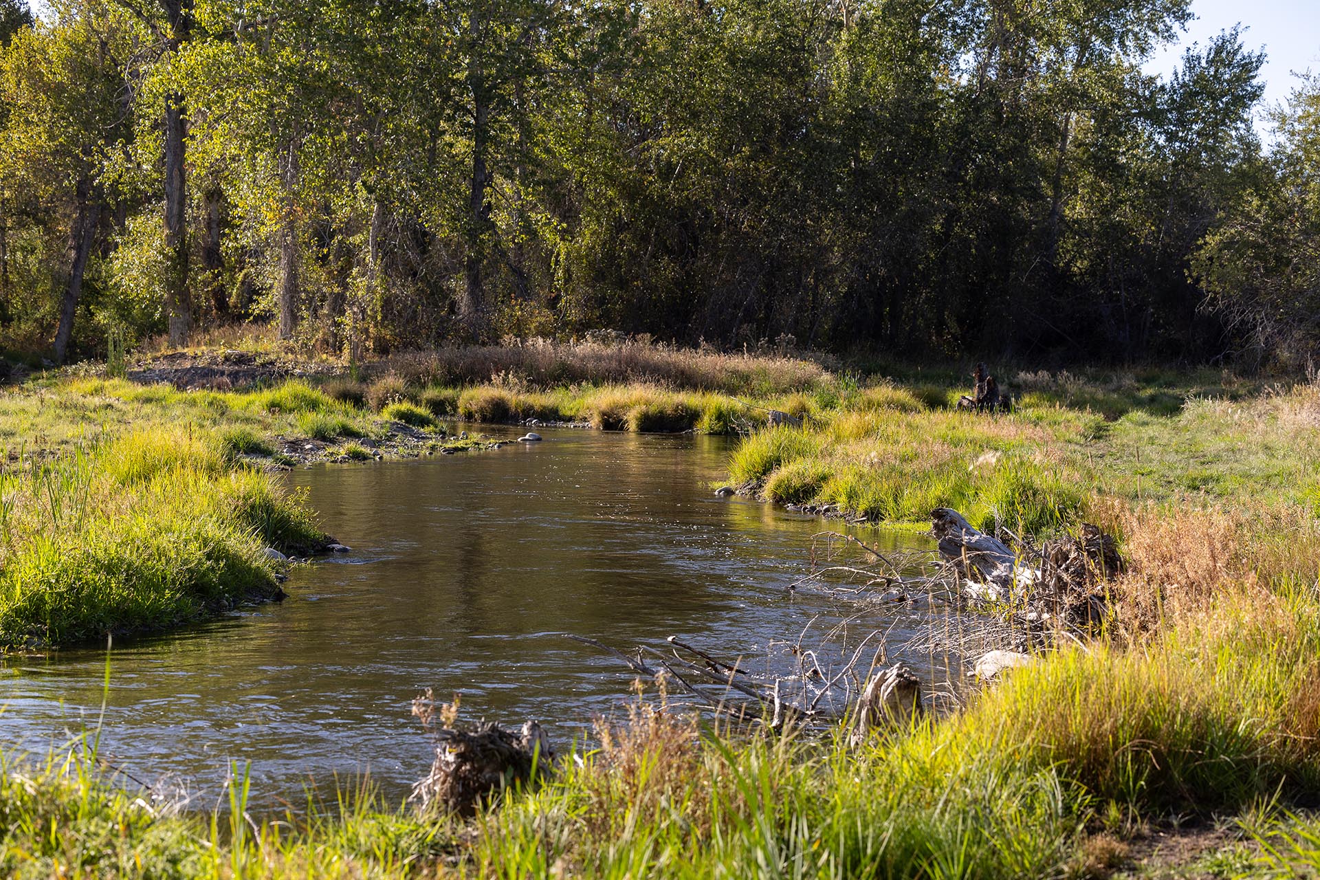 kenny creek idaho jackson corner ranch