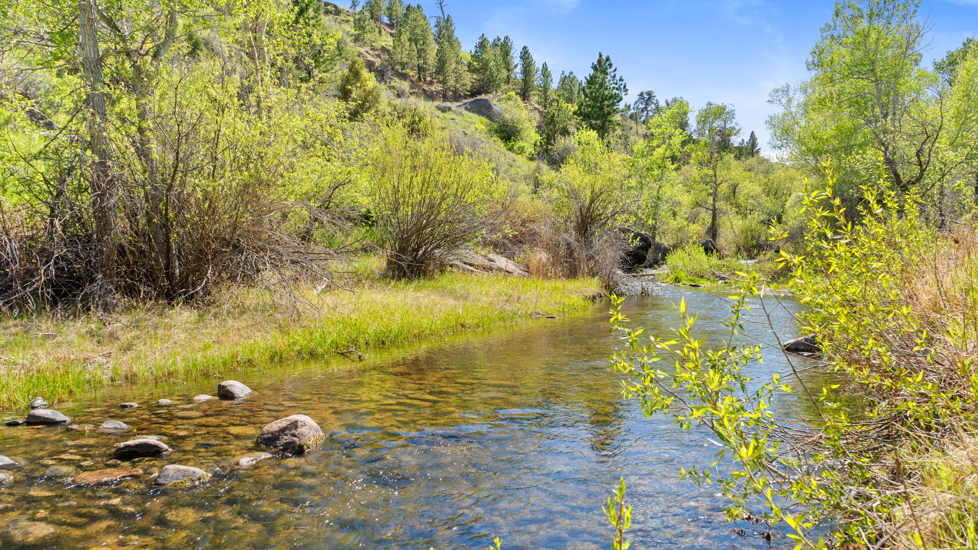 la prele creek wyoming creek bend ranch