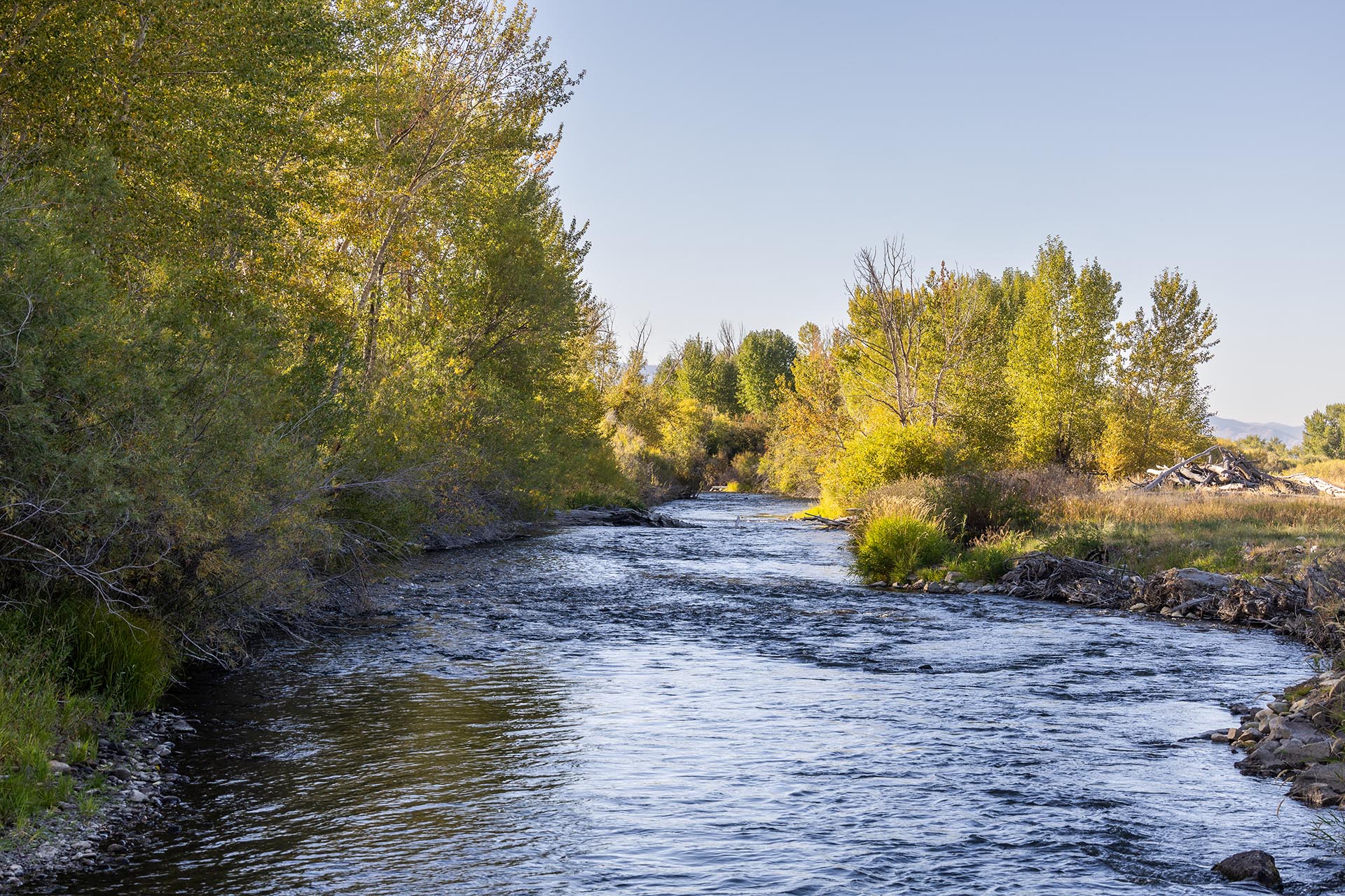 lazy river idaho jackson corner ranch