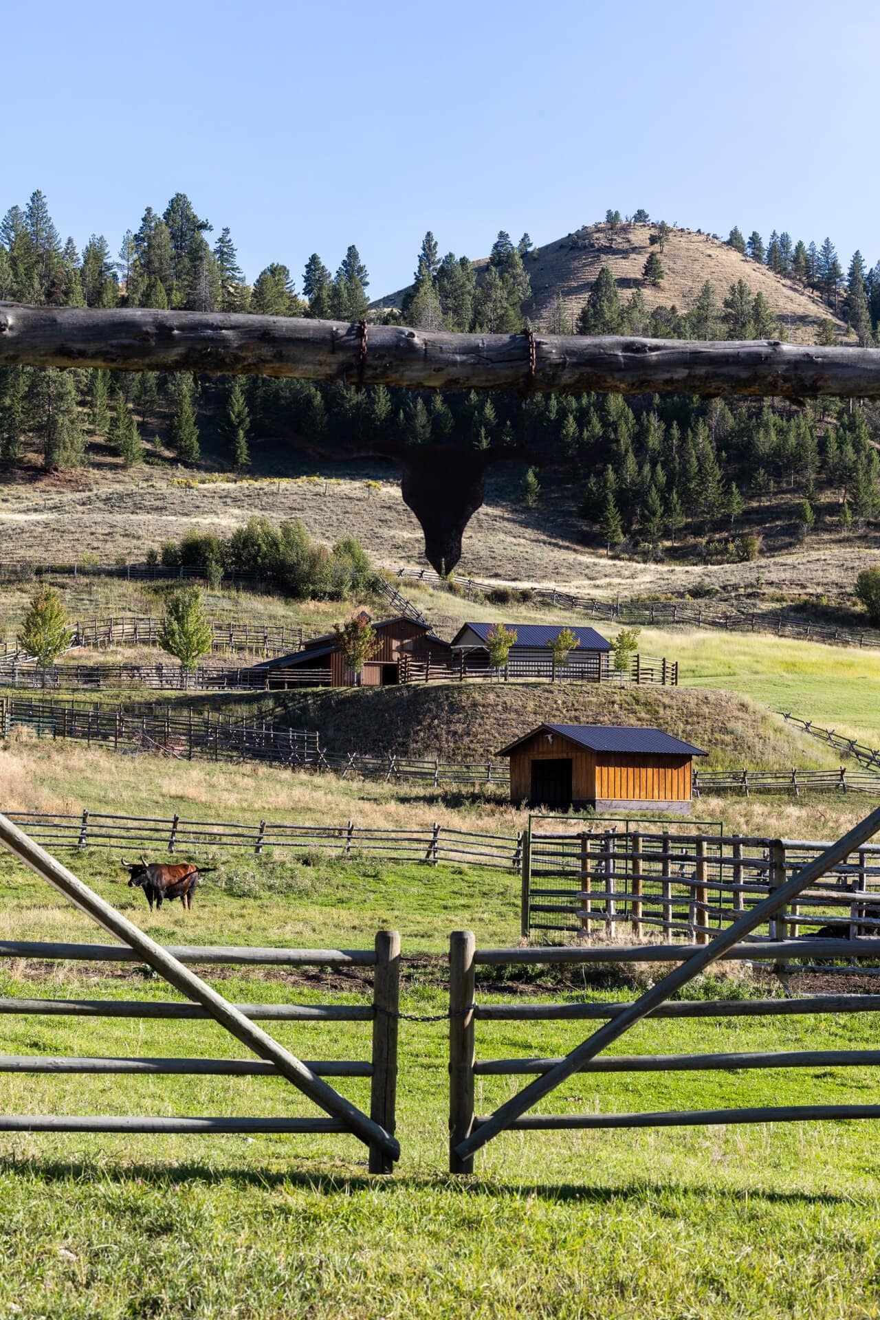 livestock corrals idaho north fork meadows