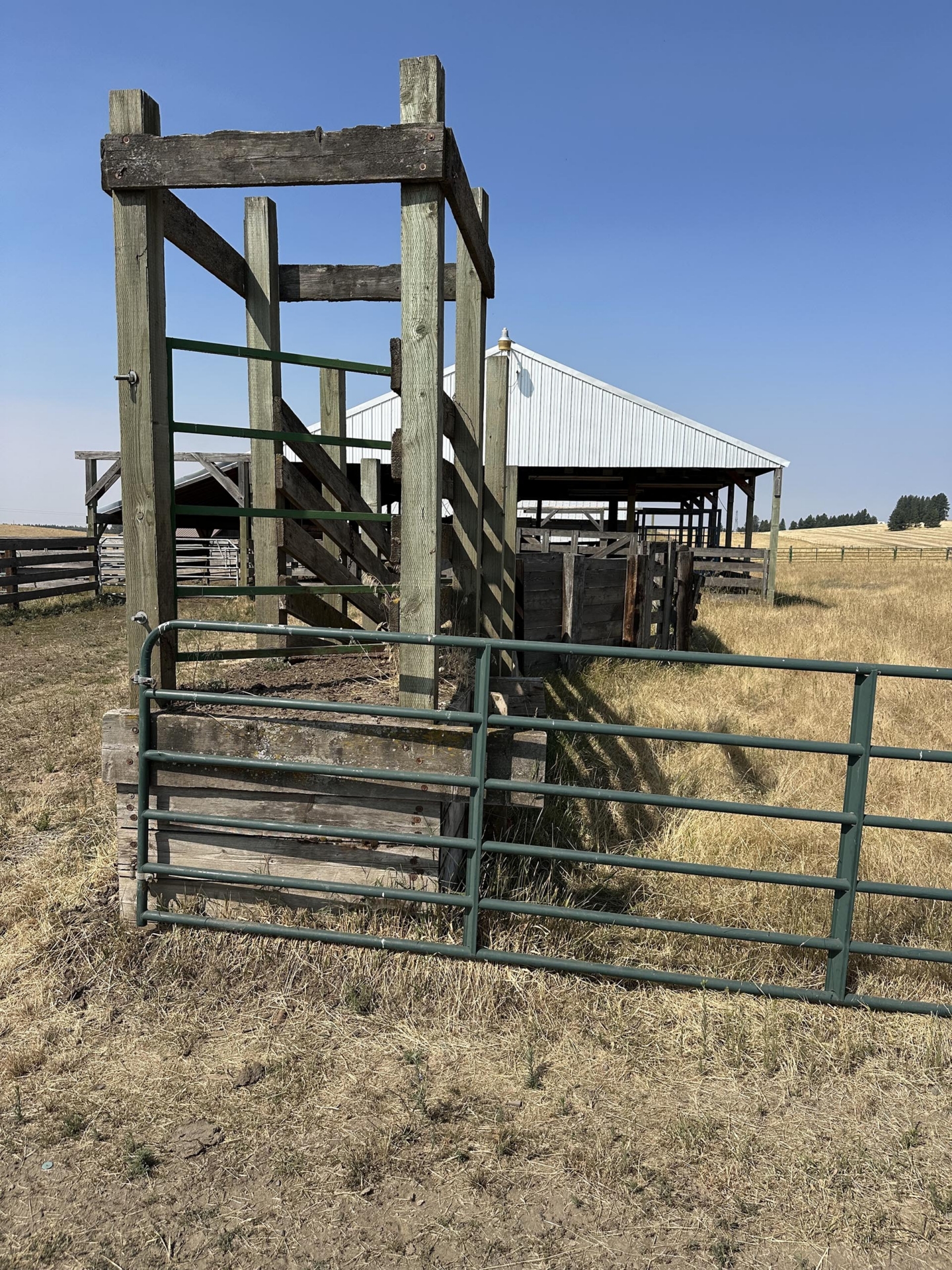 loading shoot idaho park ranch