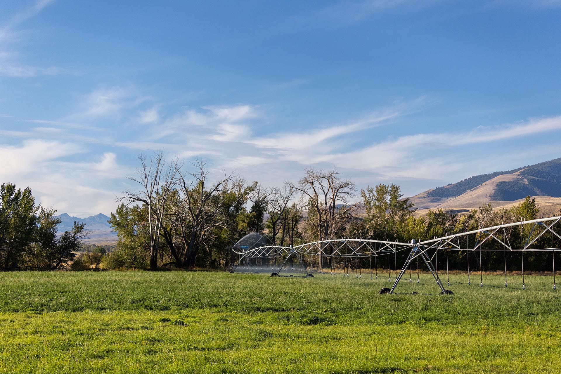 low pressure pivot system idaho jackson corner ranch