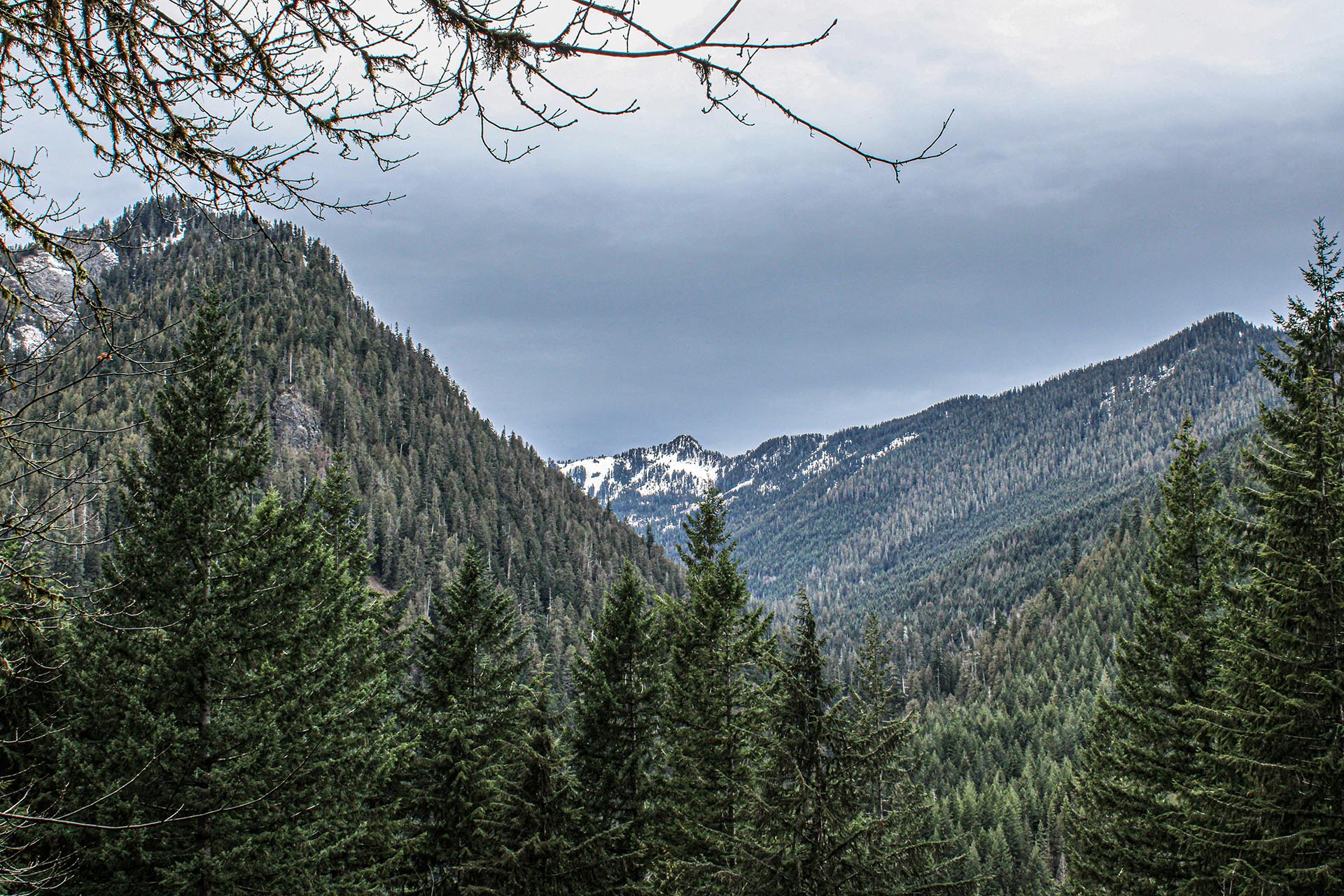 mountain forest and granite outcrops washington granite creek trail