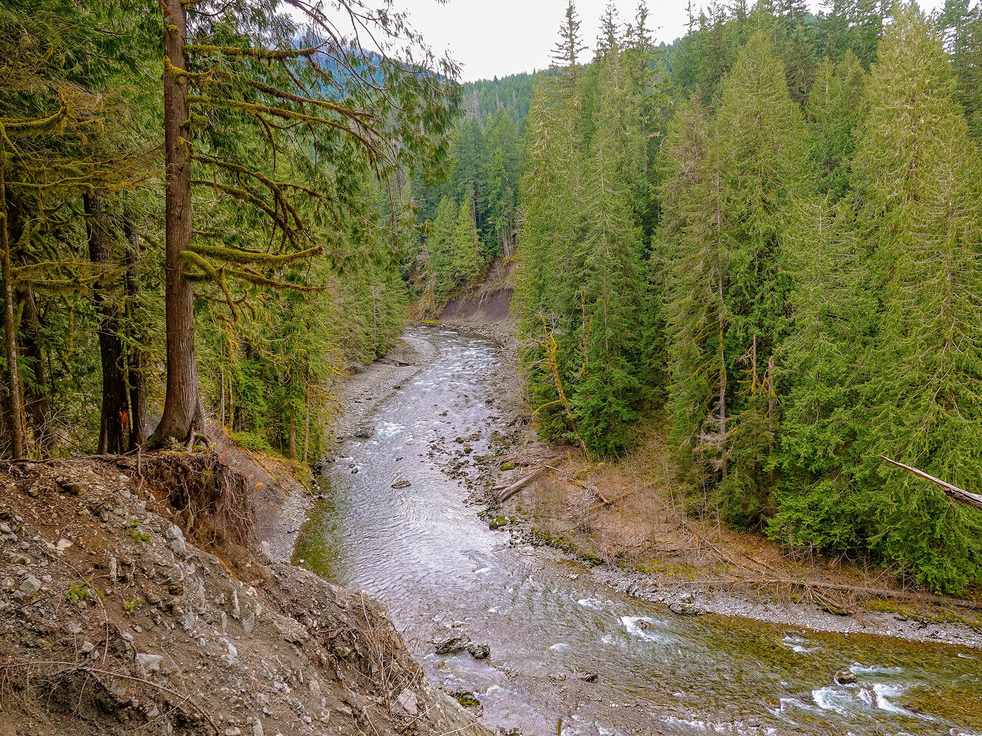 mountain lake surrounded by forest washington granite creek trail